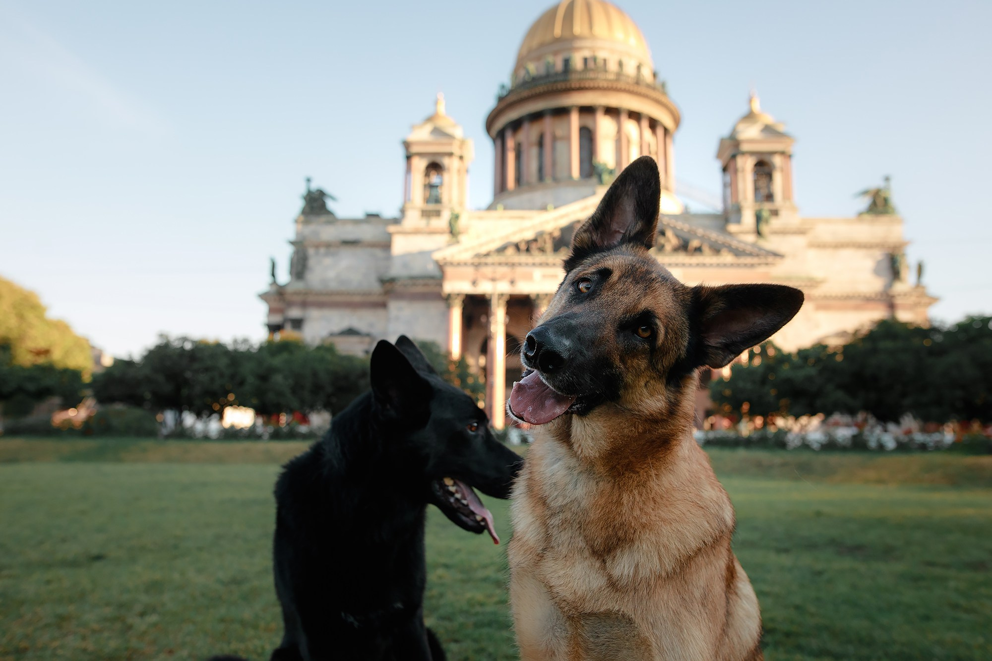 Алена, Кай и Мара. Фотограф-анималист Mary Mart — Москва, Питер