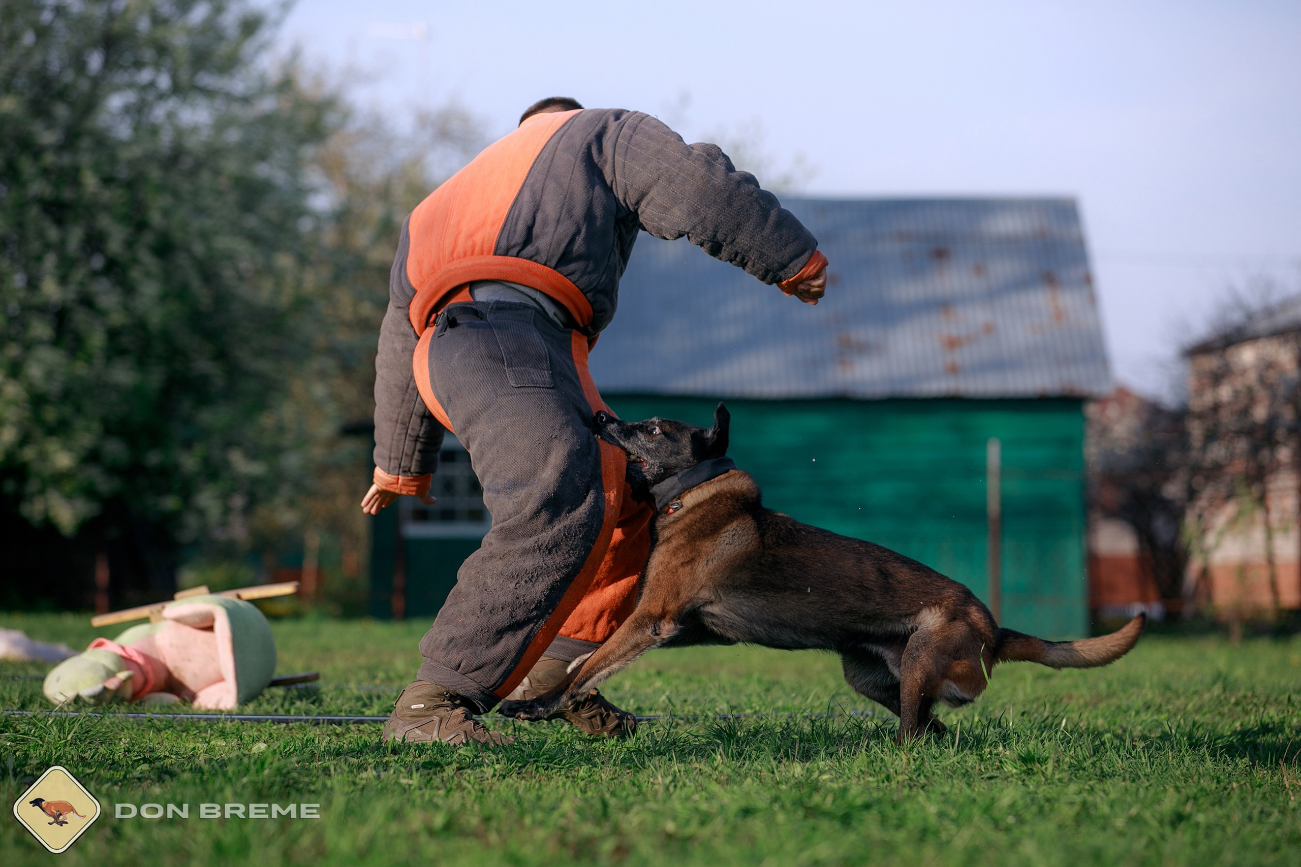 Семинар для фигурантов, день 4. Фотограф-анималист Mary Mart — Москва, Питер