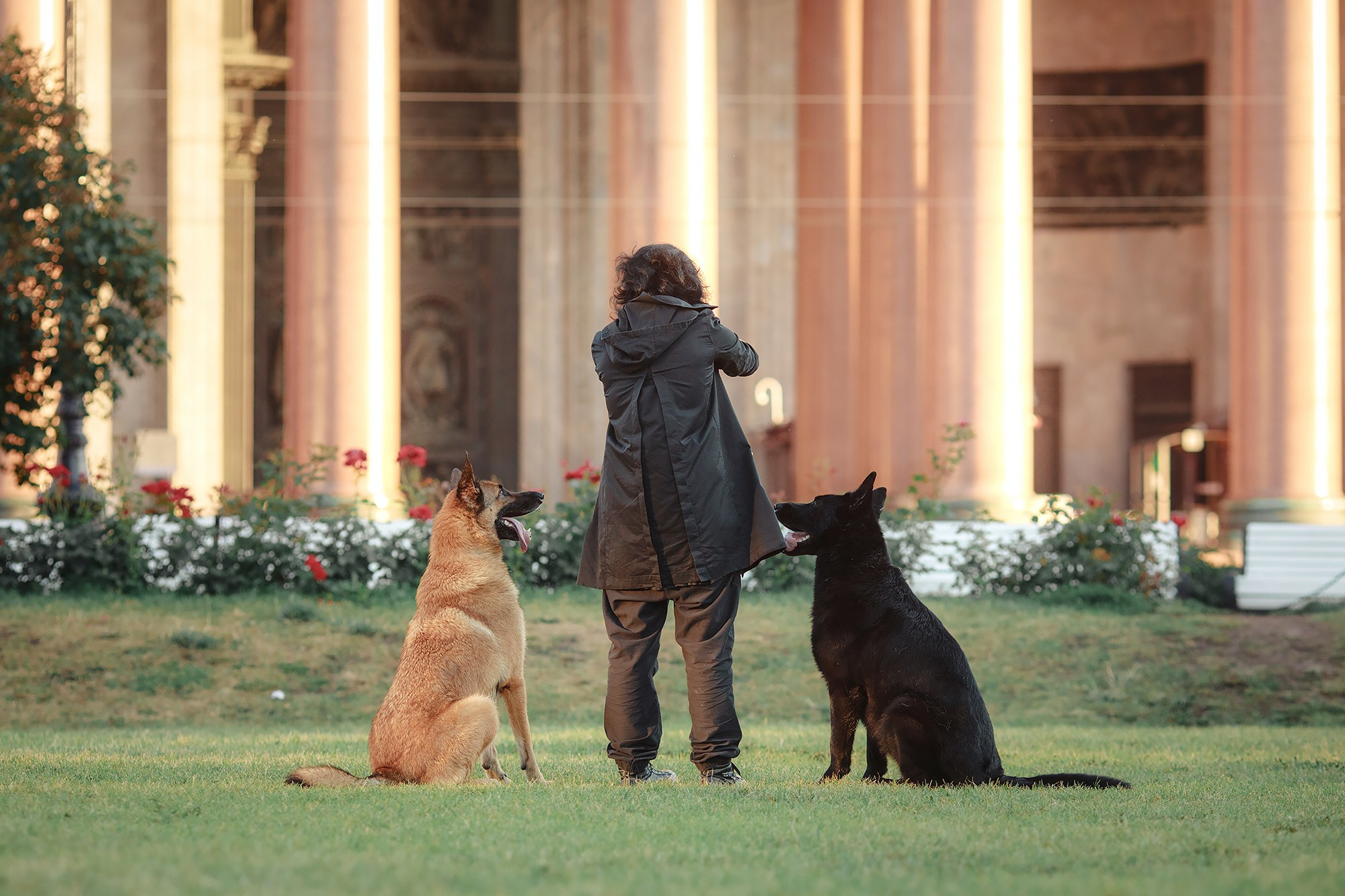 Алена, Кай и Мара. Фотограф-анималист Mary Mart — Москва, Питер