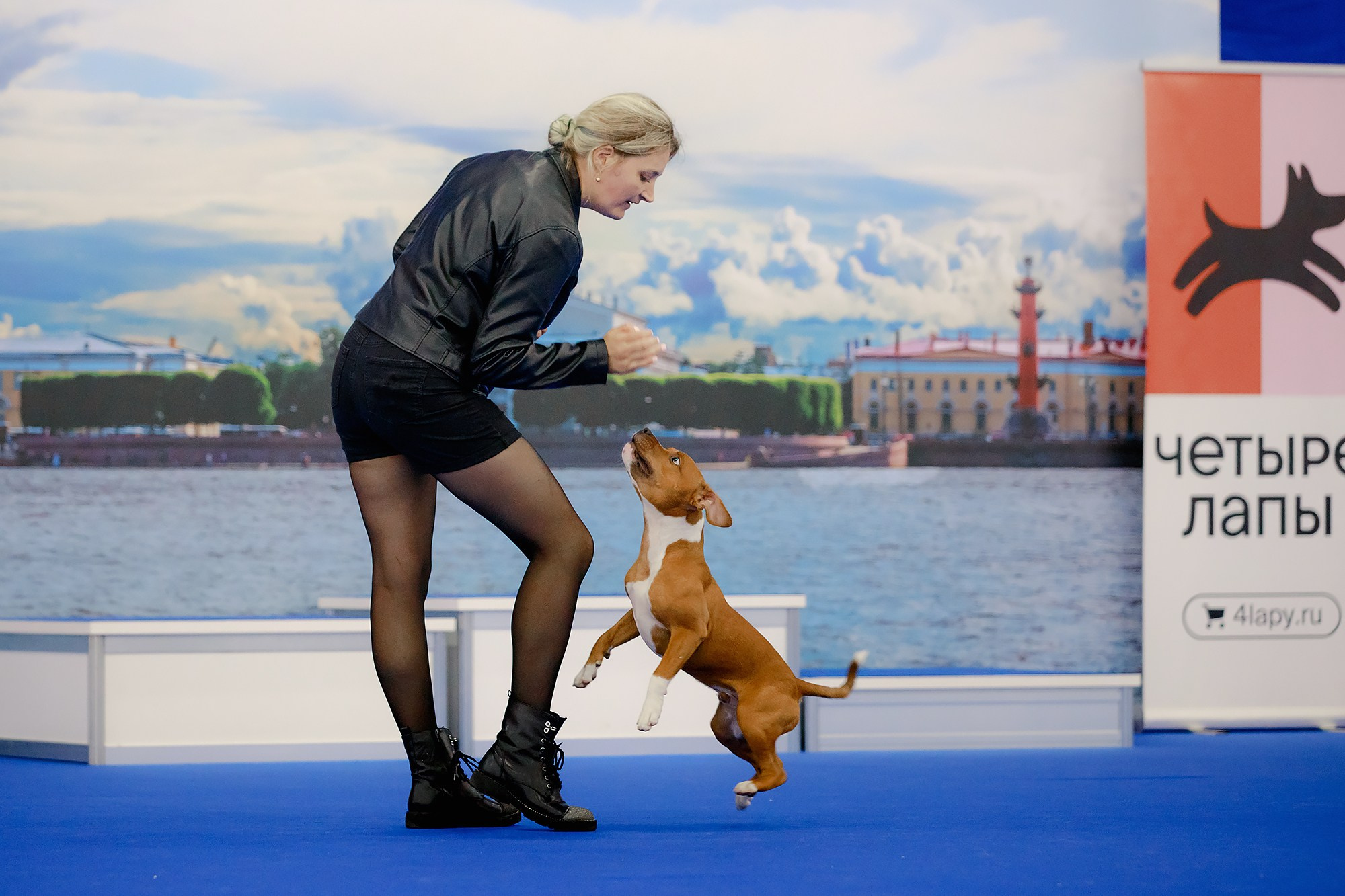 Танцы на выставке «Зоошоу», СПб. Фотограф-анималист Mary Mart — Москва, Питер