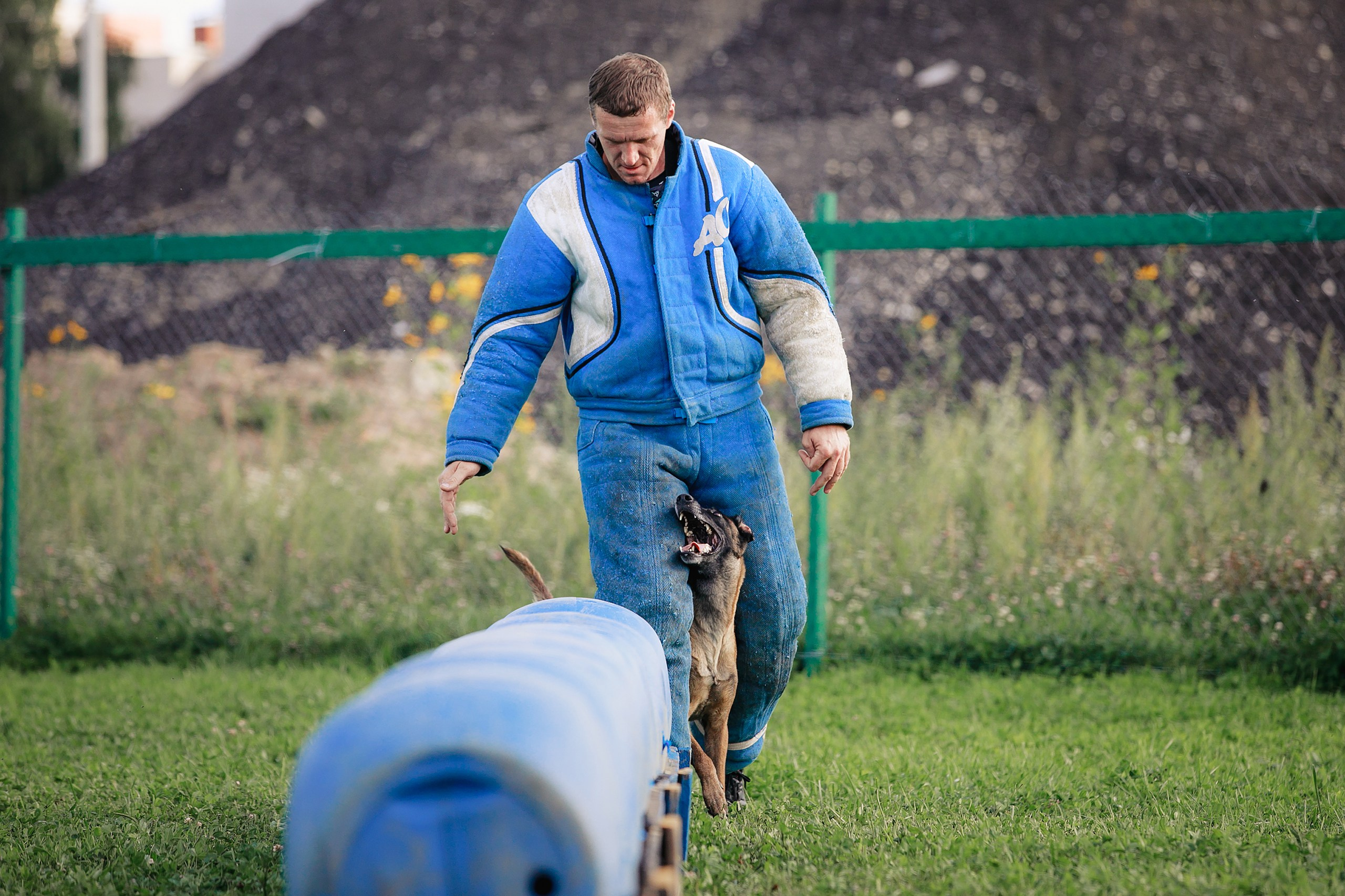 Мондьоринг М1, М2, М3, Вологда. Фотограф-анималист Mary Mart — Москва, Питер