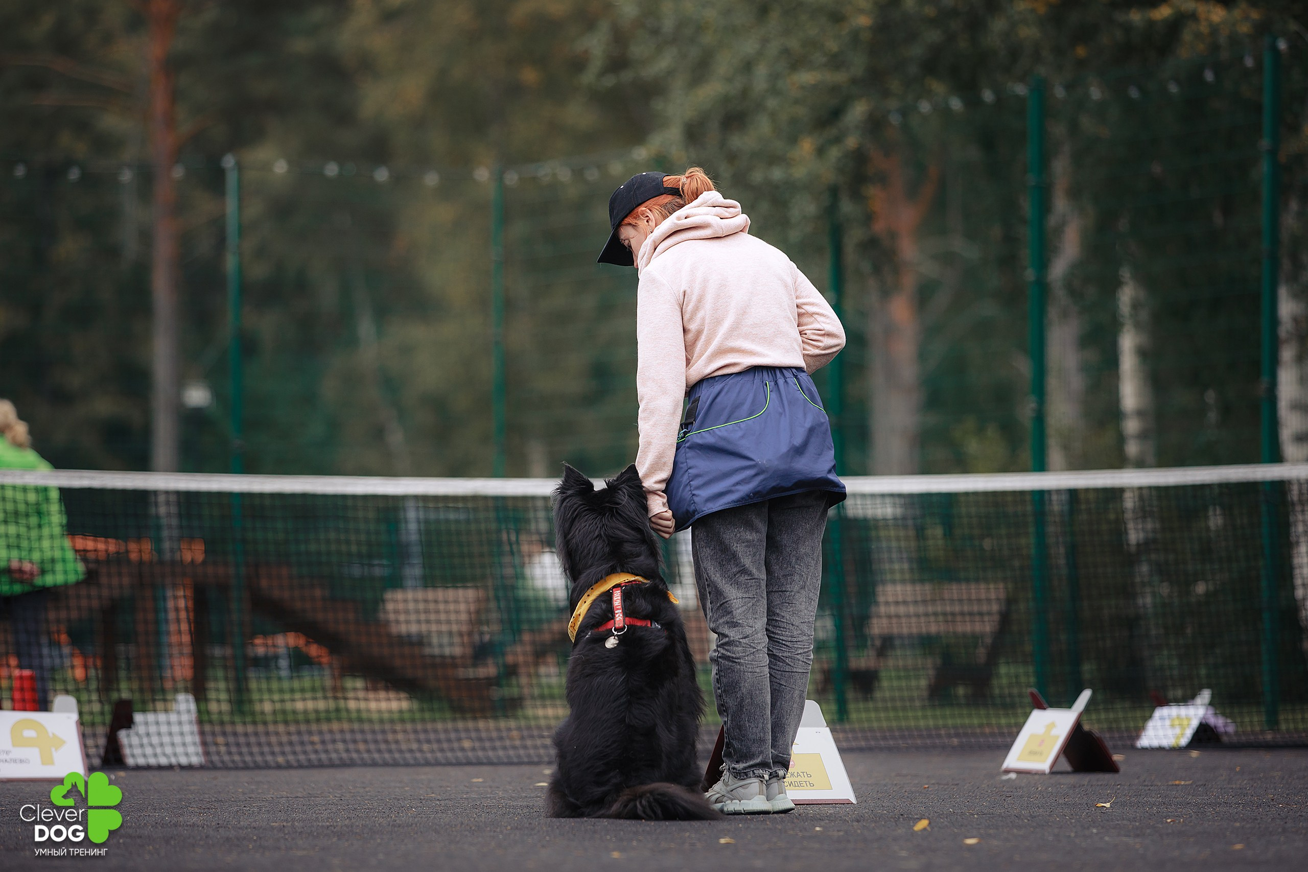 Кинологический лагерь CleverDog, 2024. Фотограф-анималист Mary Mart — Москва, Питер