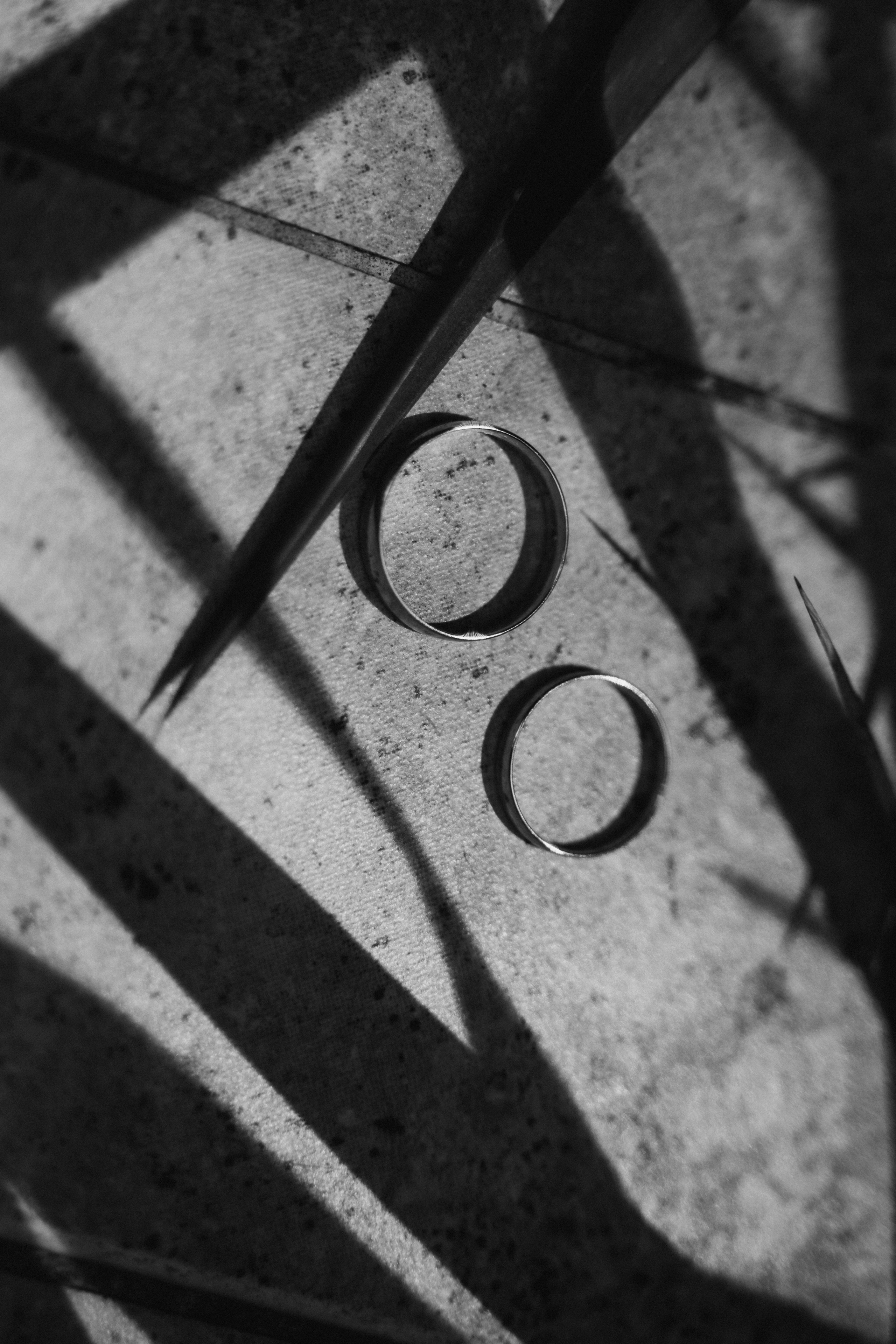 София и Антон. Мария Кобзева, фотограф в Ялте, Крым