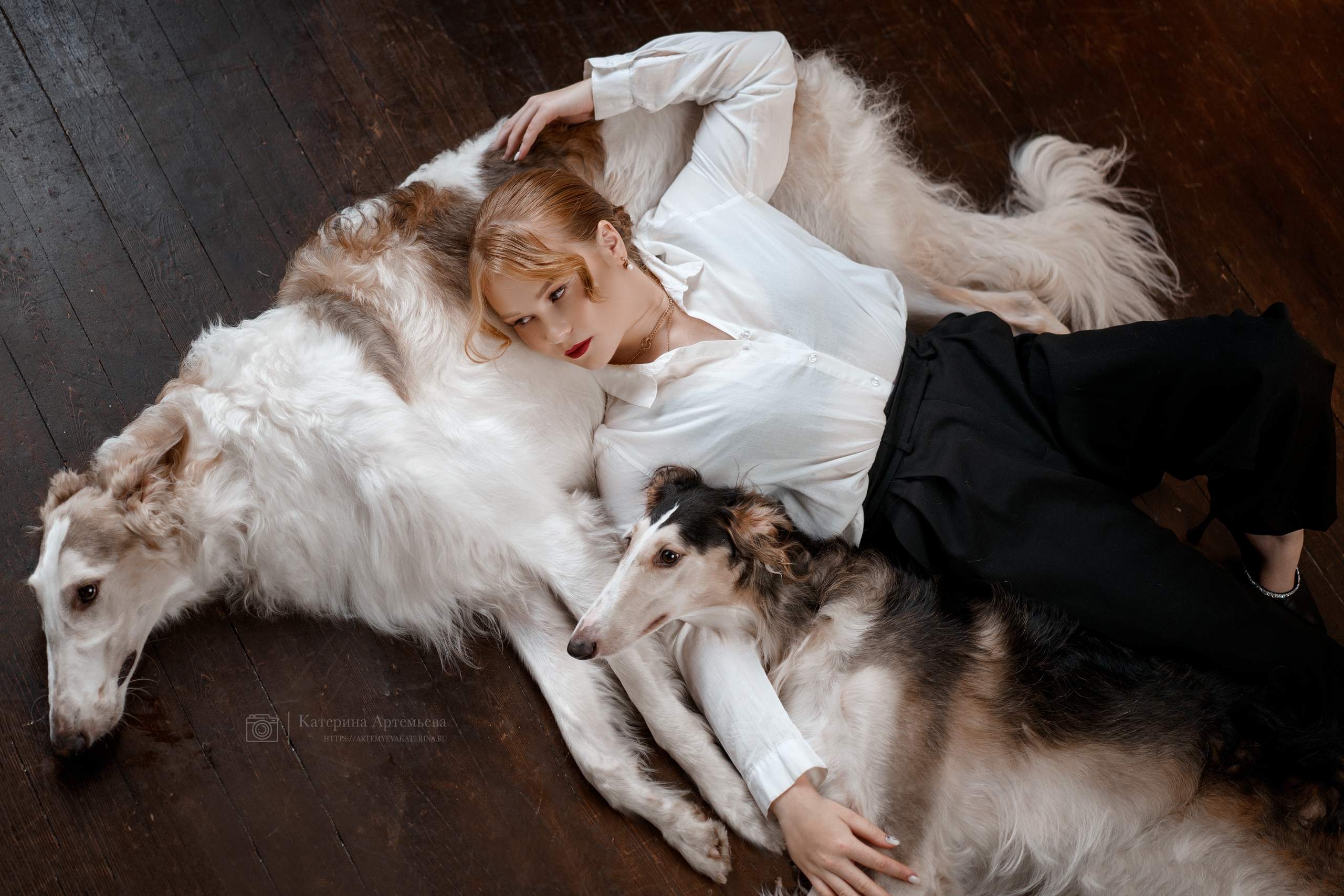 Фотосессии с вашими любимцами. Фотограф Артемьева Катерина|фотосессии с лошадьми