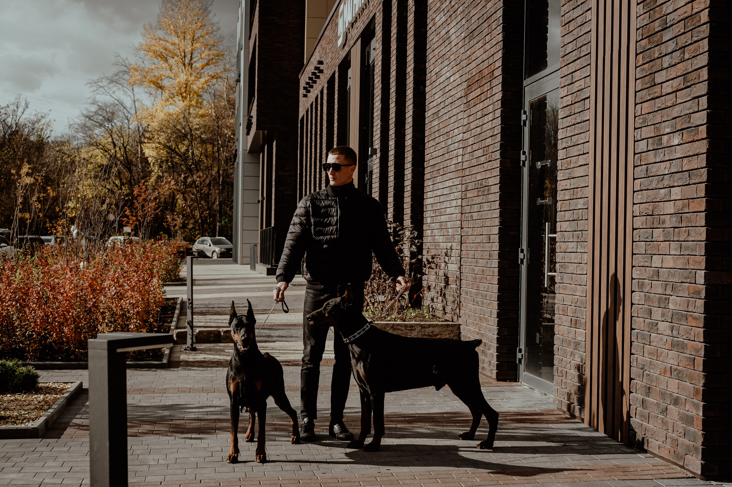 Прогулка с доберманами. Свадебный фотограф Челябинск