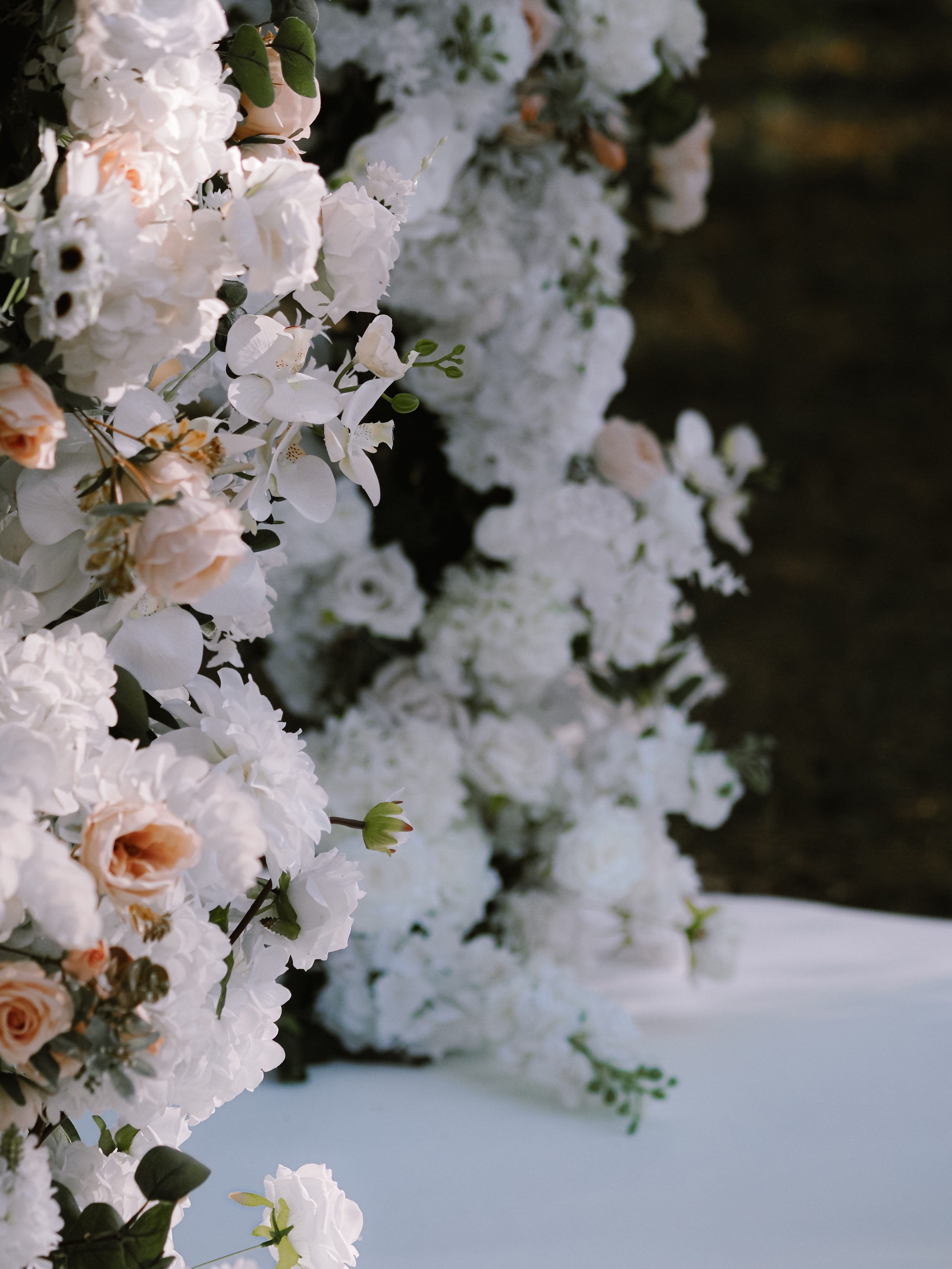 Виктория-Максим. Фотограф Рязань. Семейный Свадебный фотограф