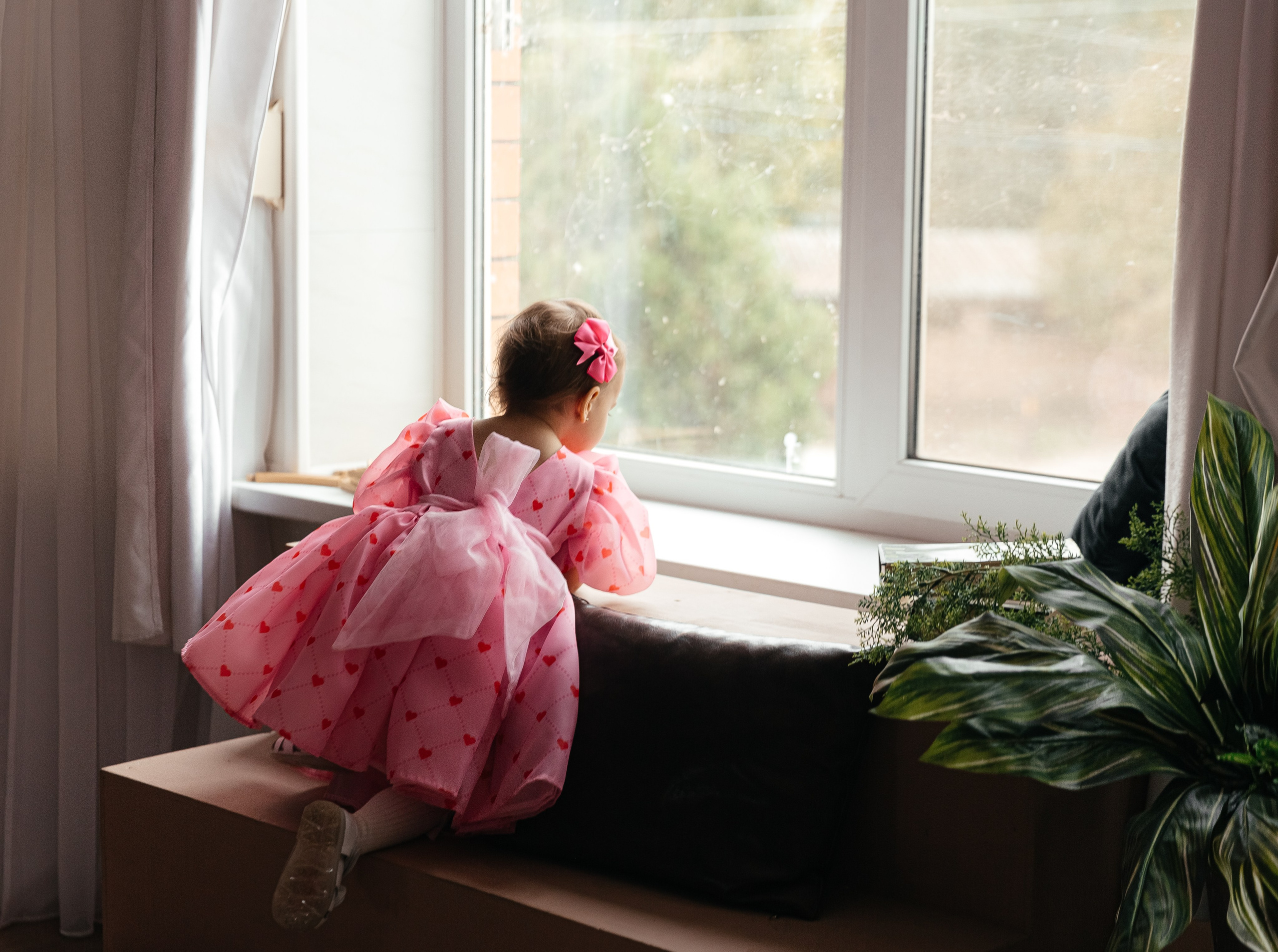 Алиса. Главная