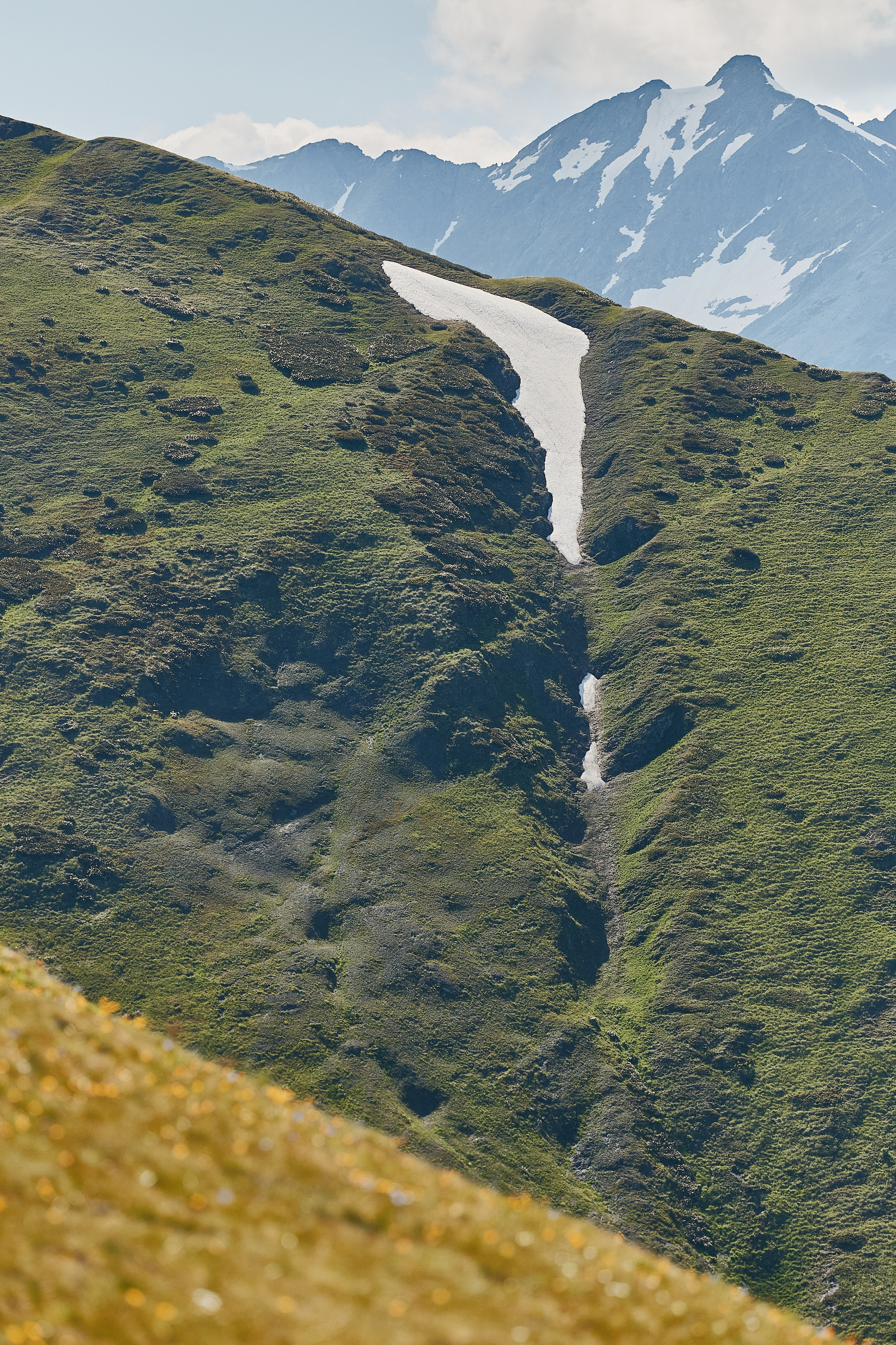 PRIVATE Arkhyz 22.06. Свадебный репортажный фотограф краснодар максим дремов дрёмов фотосессия студия цена