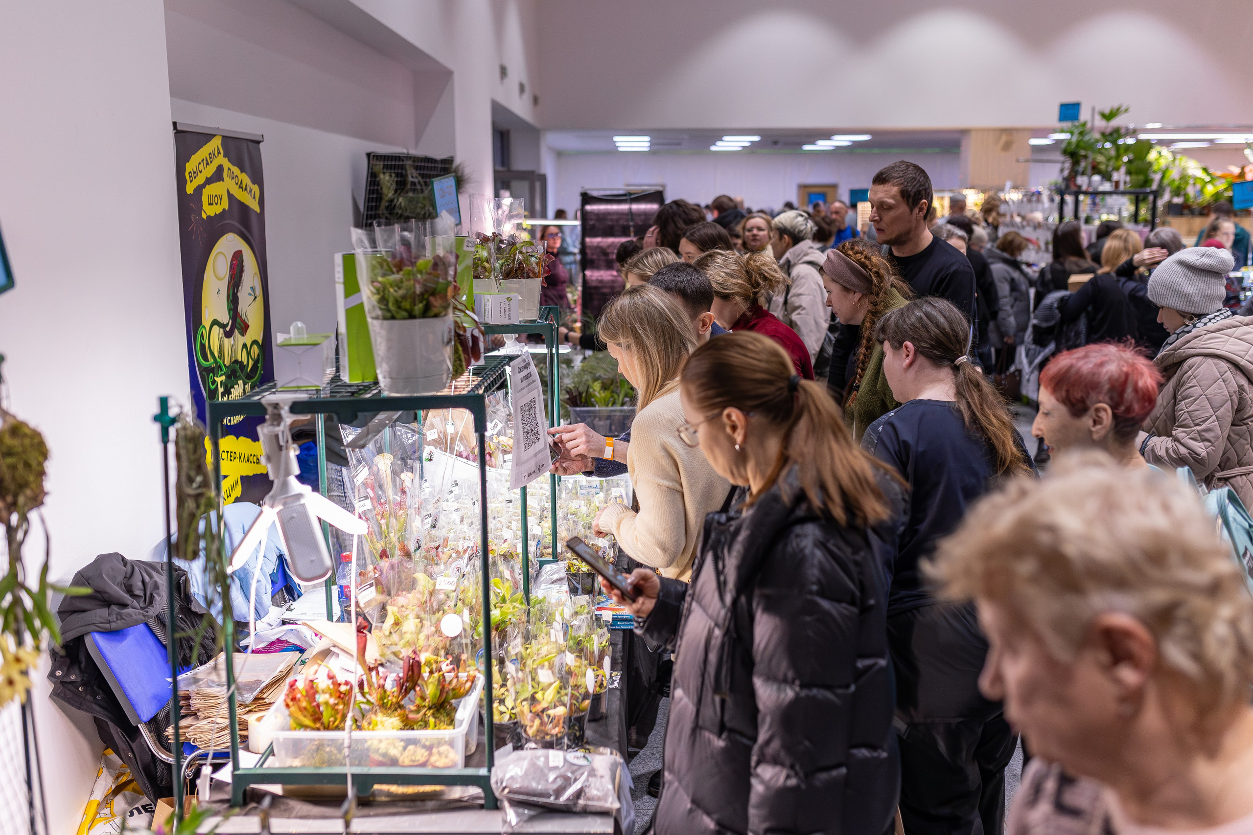 Орхидиум 12.2025. Александра Куликова фотограф, Москва