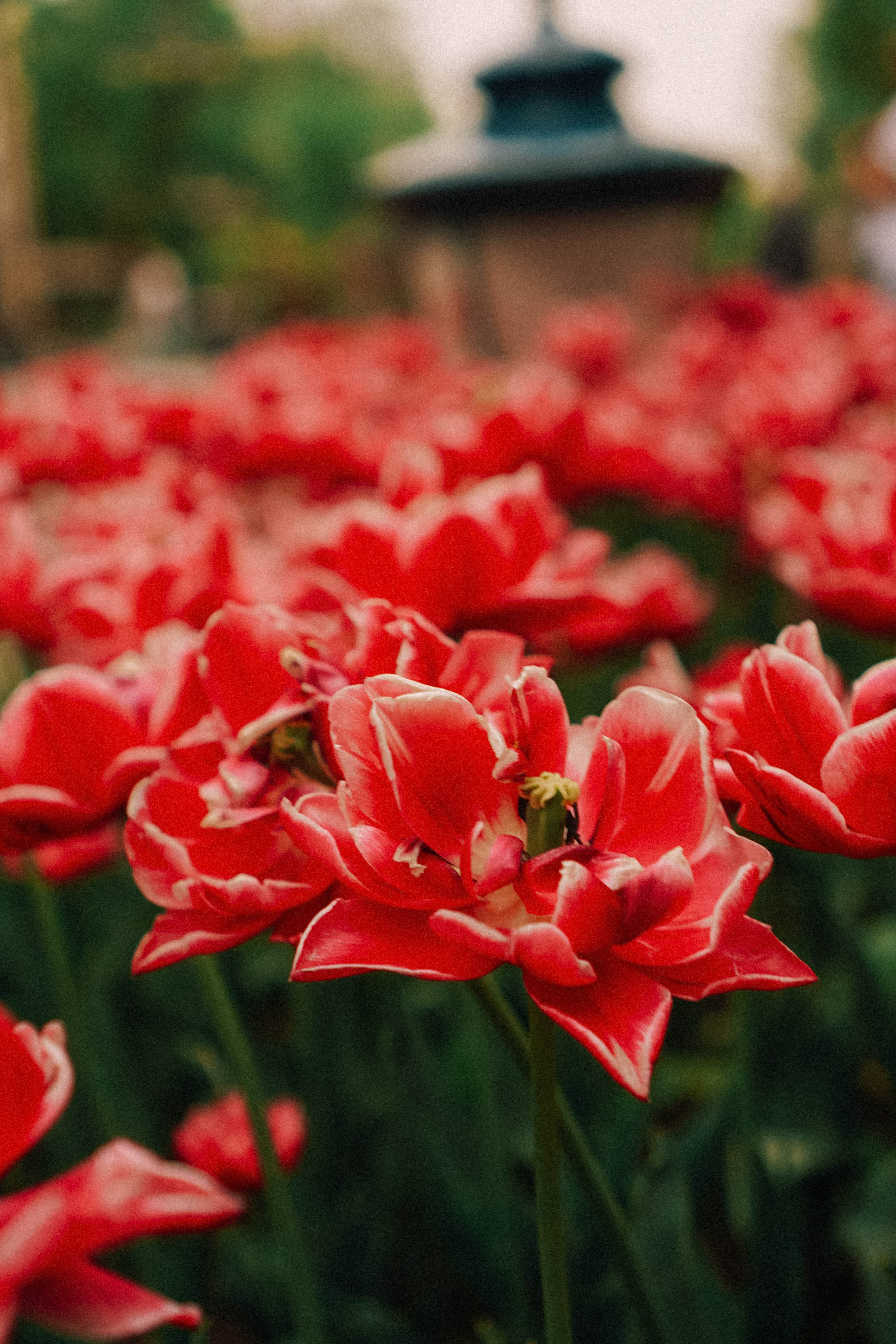 КИСЛОВОДСК. Профессиональный фотограф, Санкт-Петербург — Виктория Богомолова
