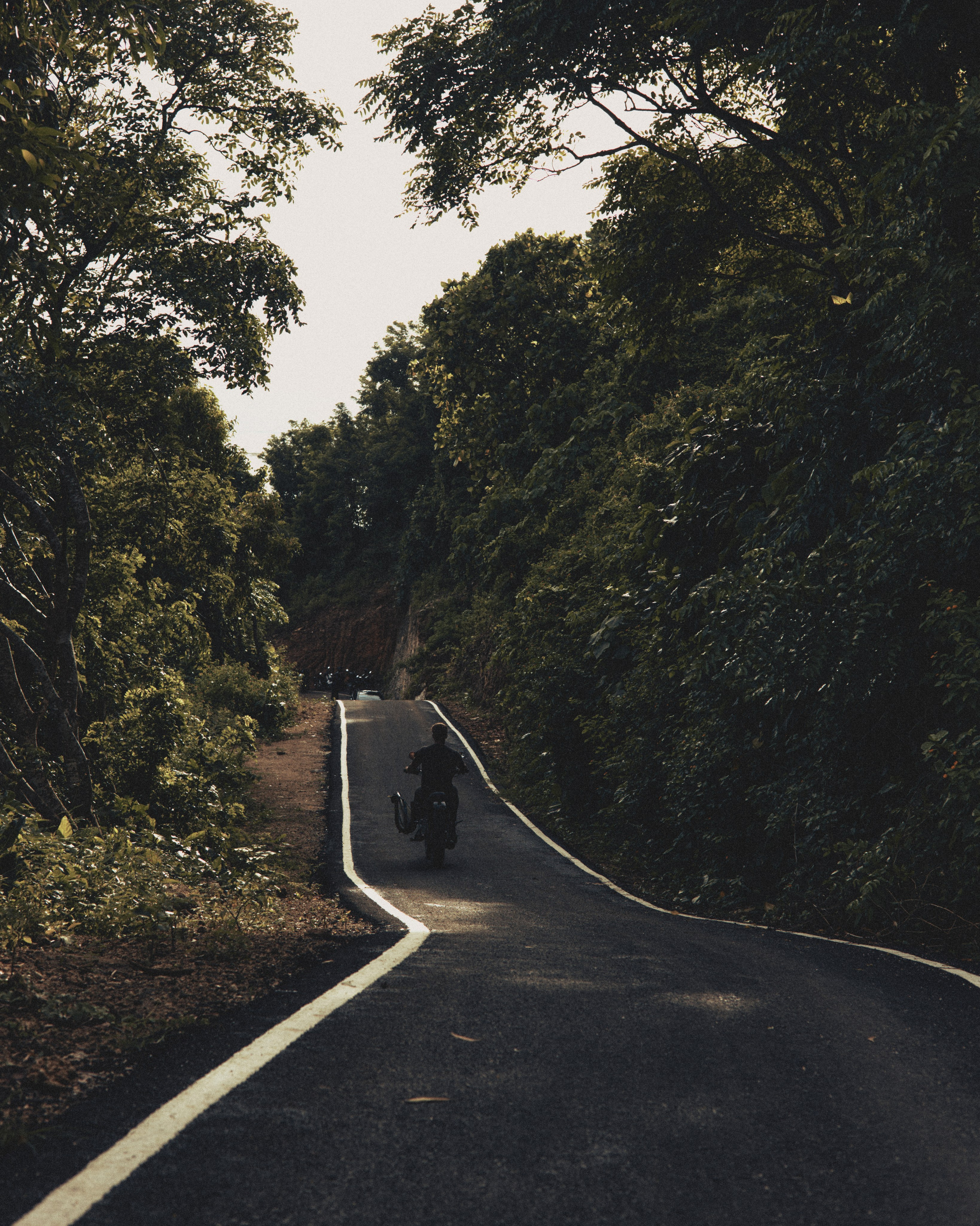 LESHA. Рекламный, Fashion и имиджевый фотограф Михаил Чащин