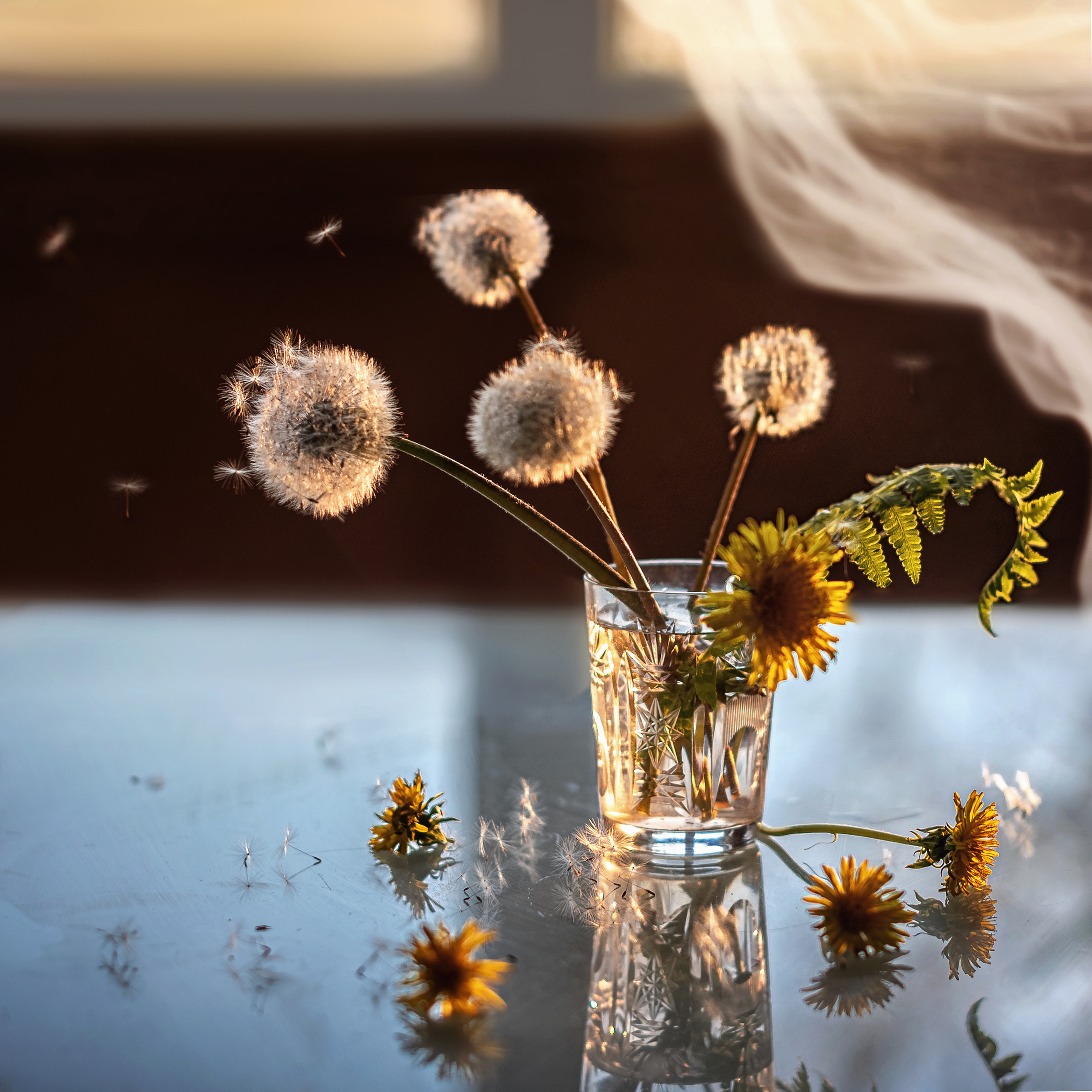 Акварели Гелиоса. Фотограф в Краснодаре и Бишкеке Галина Бокова