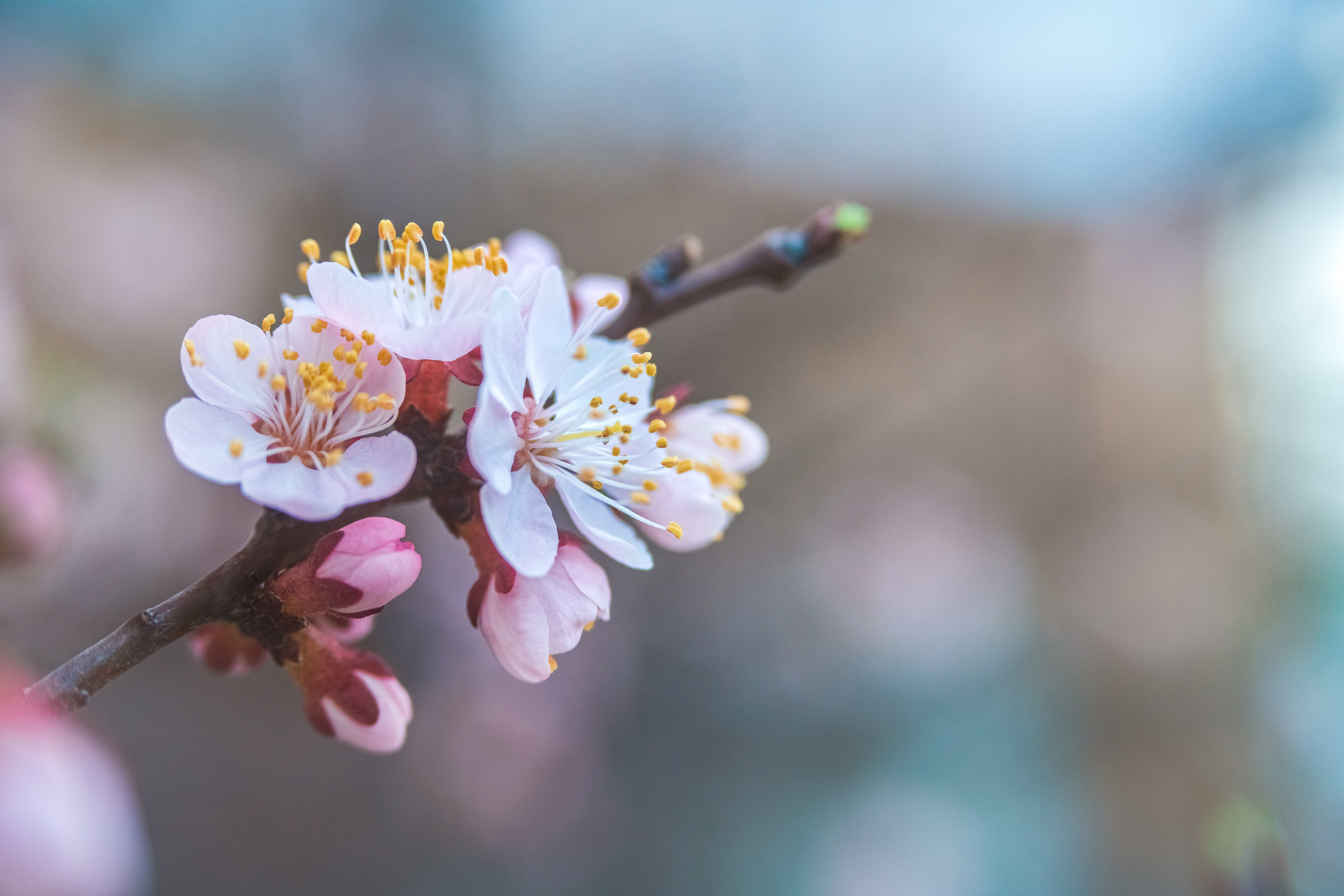 Акварели Гелиоса. Фотограф в Краснодаре и Бишкеке Галина Бокова