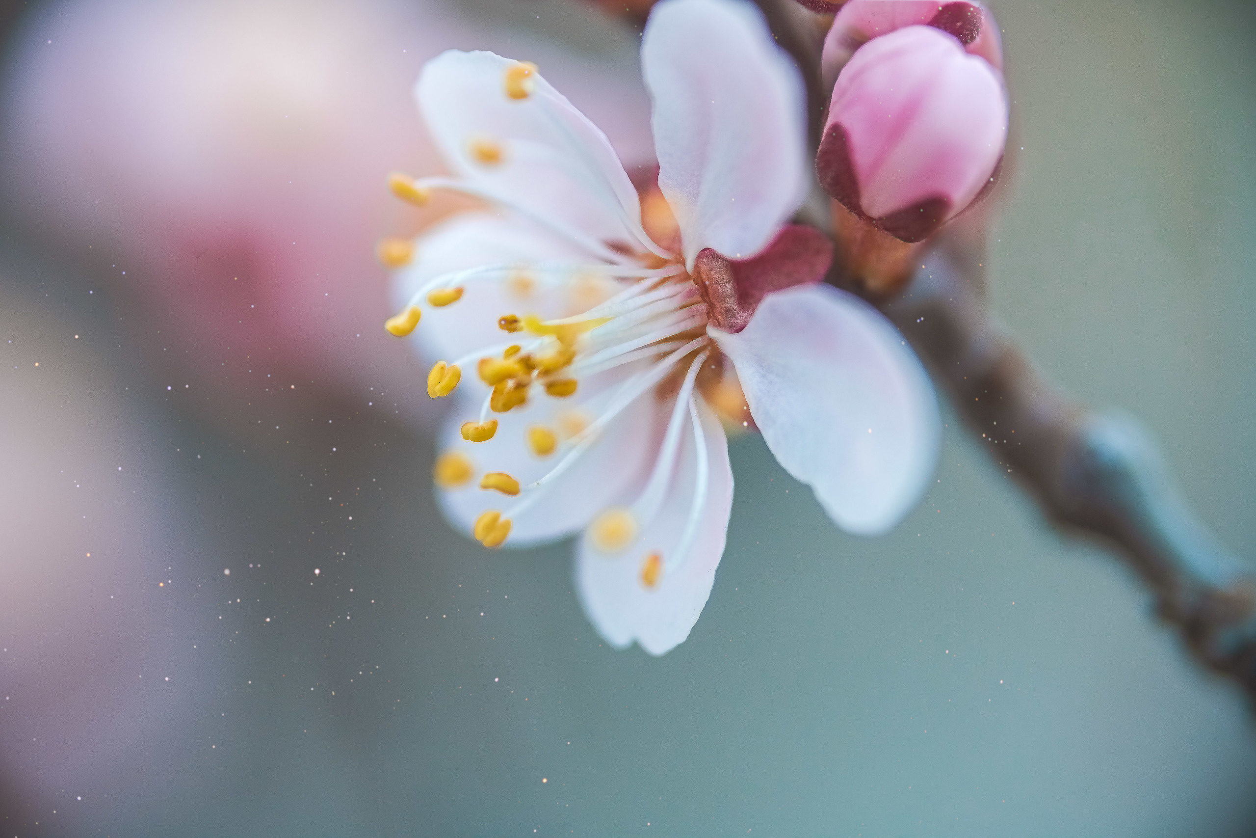 Акварели Гелиоса. Фотограф в Краснодаре и Бишкеке Галина Бокова