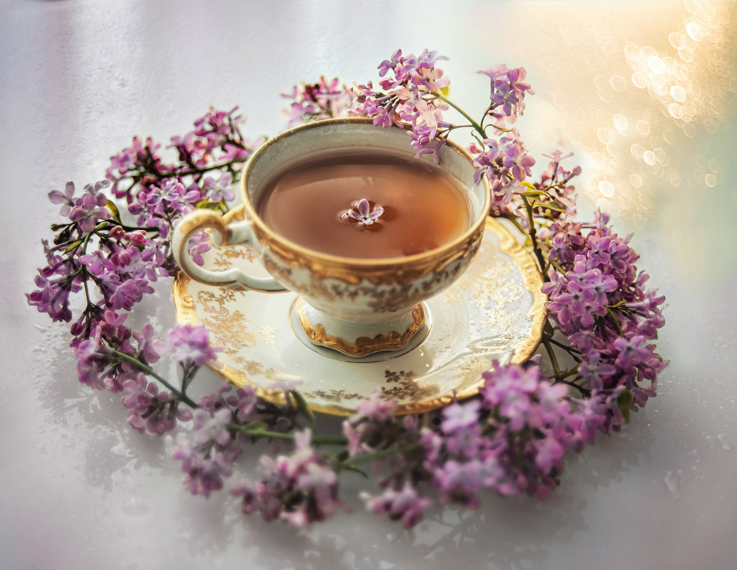 Акварели Гелиоса. Фотограф в Краснодаре и Бишкеке Галина Бокова