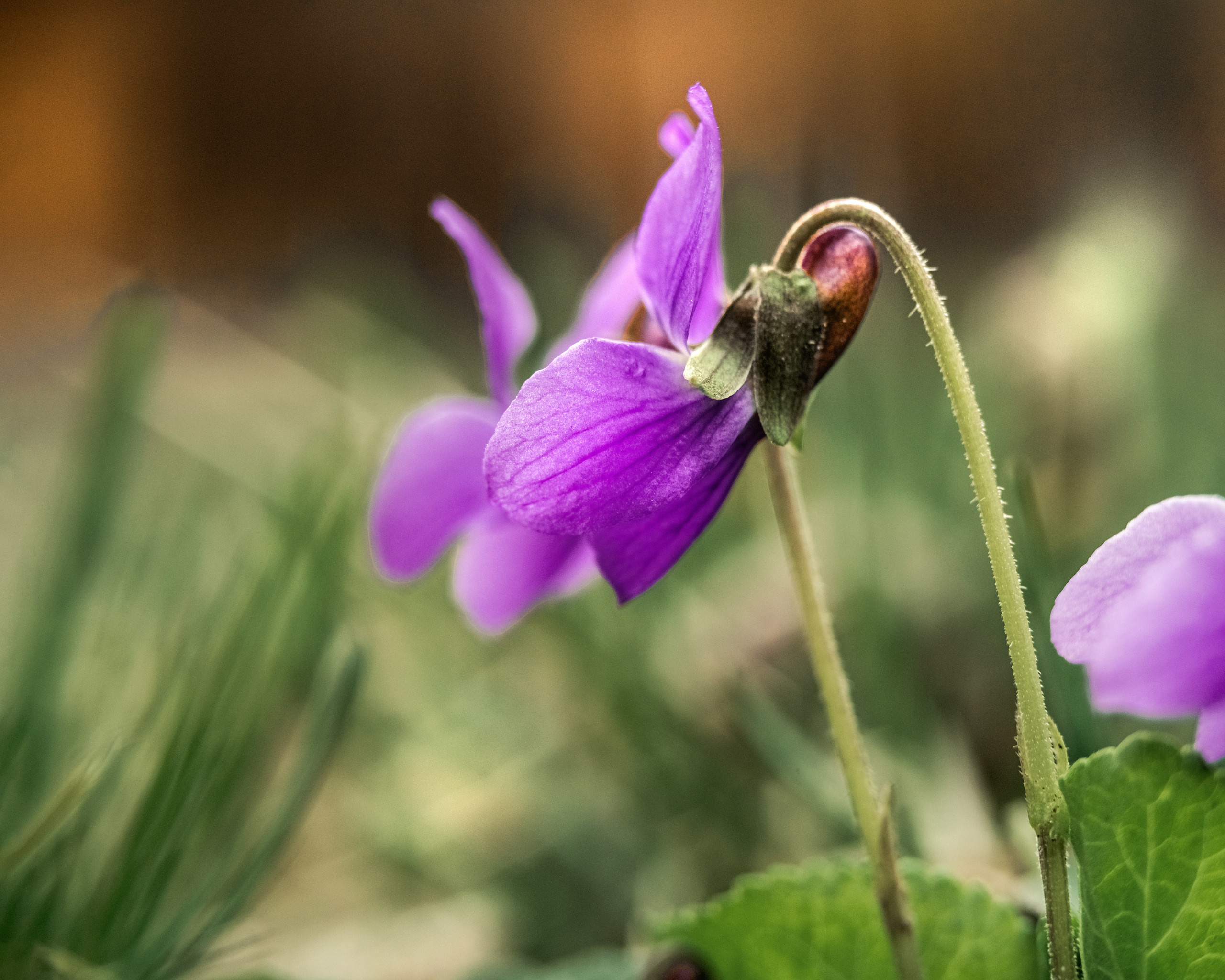 Акварели Гелиоса. Фотограф в Краснодаре и Бишкеке Галина Бокова