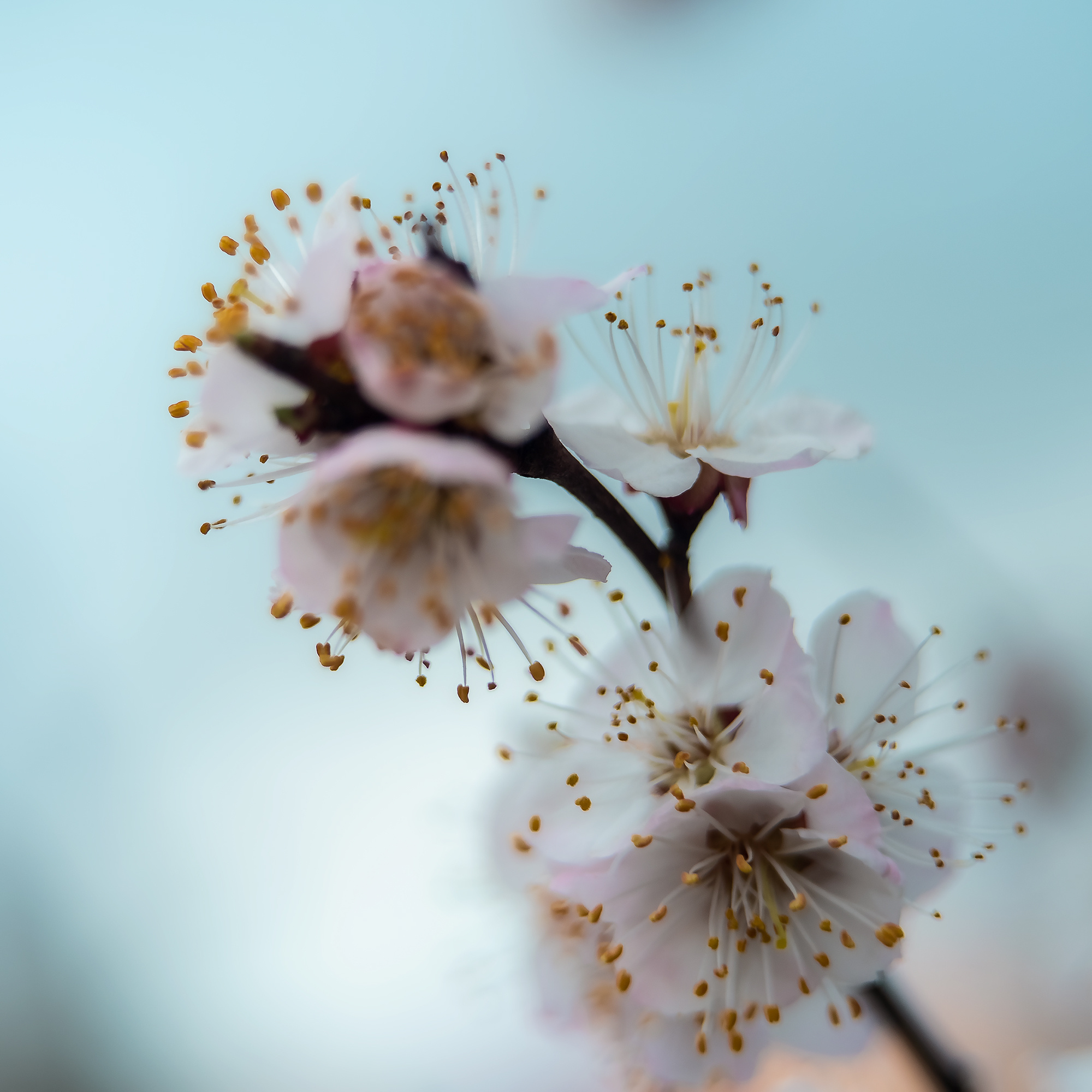 Акварели Гелиоса. Фотограф в Краснодаре и Бишкеке Галина Бокова