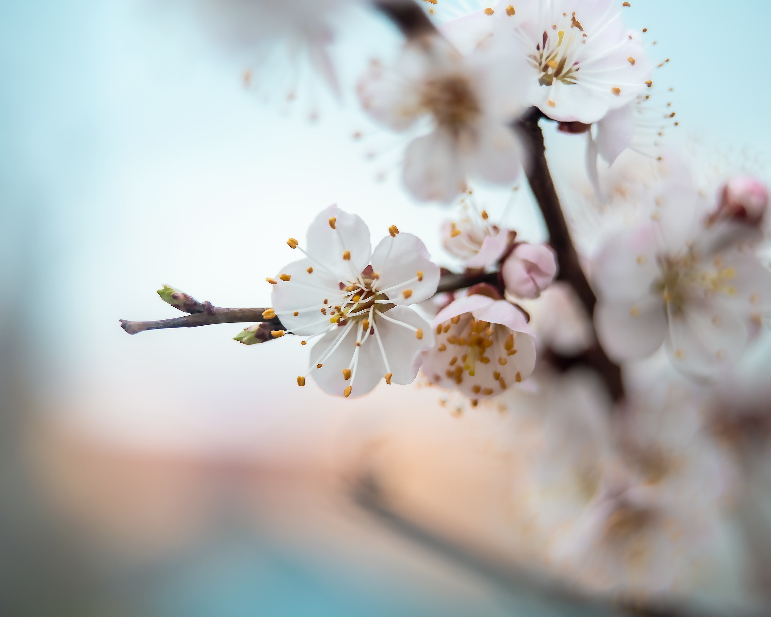Акварели Гелиоса. Фотограф в Краснодаре и Бишкеке Галина Бокова