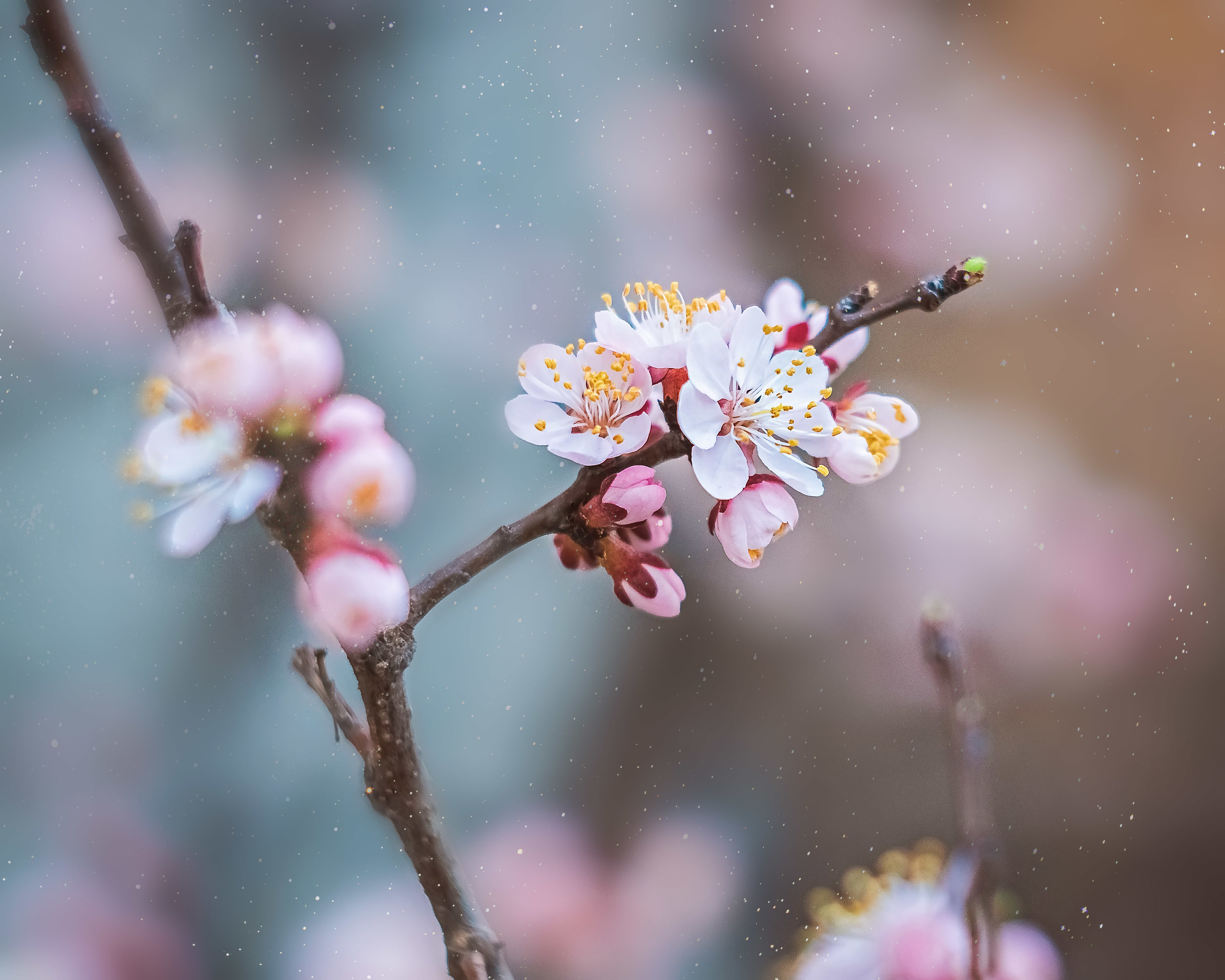 Акварели Гелиоса. Фотограф в Краснодаре и Бишкеке Галина Бокова
