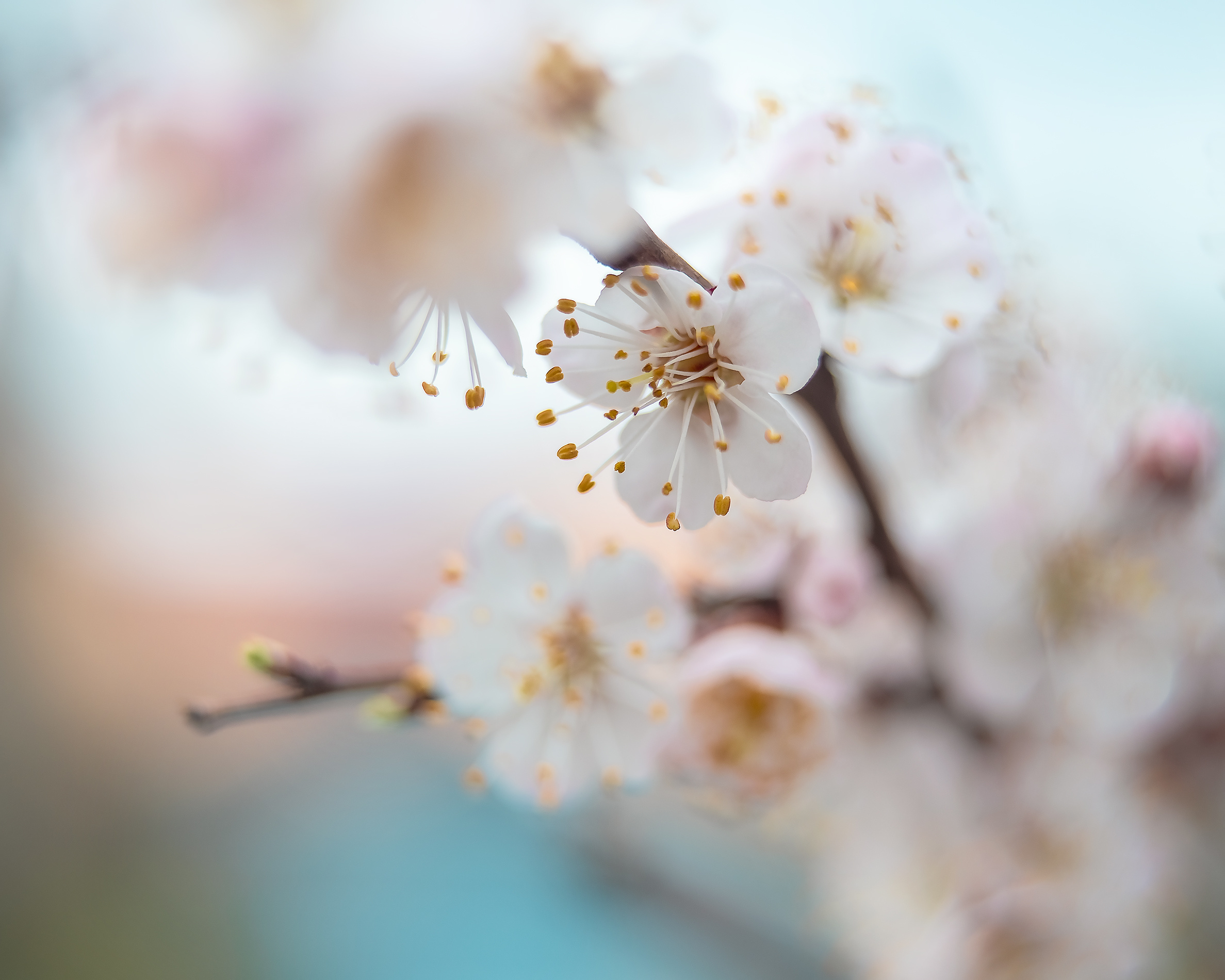 Акварели Гелиоса. Фотограф в Краснодаре и Бишкеке Галина Бокова