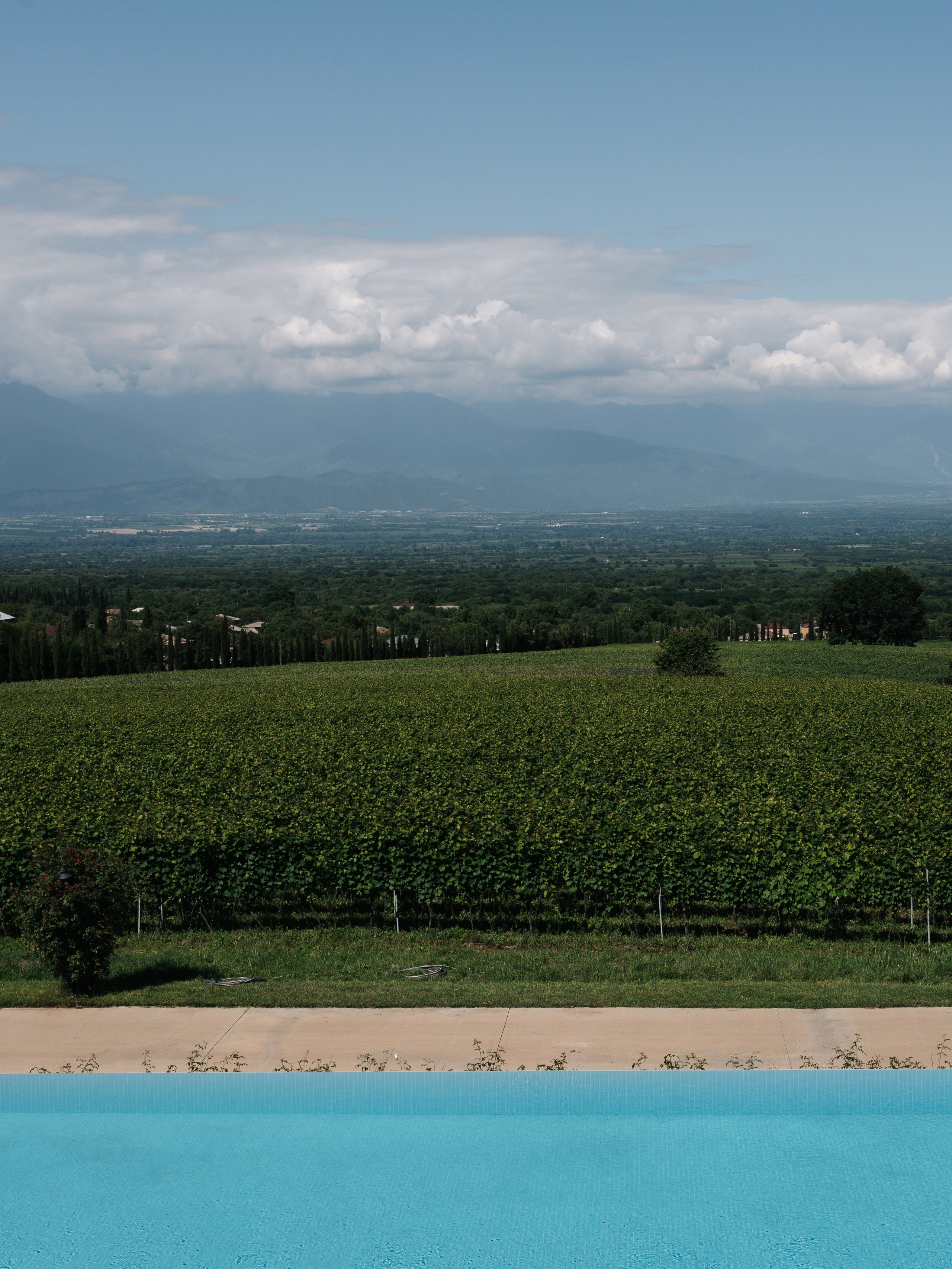 Хупа. Свадебный фотограф Москва Мотеюнайте Виктория