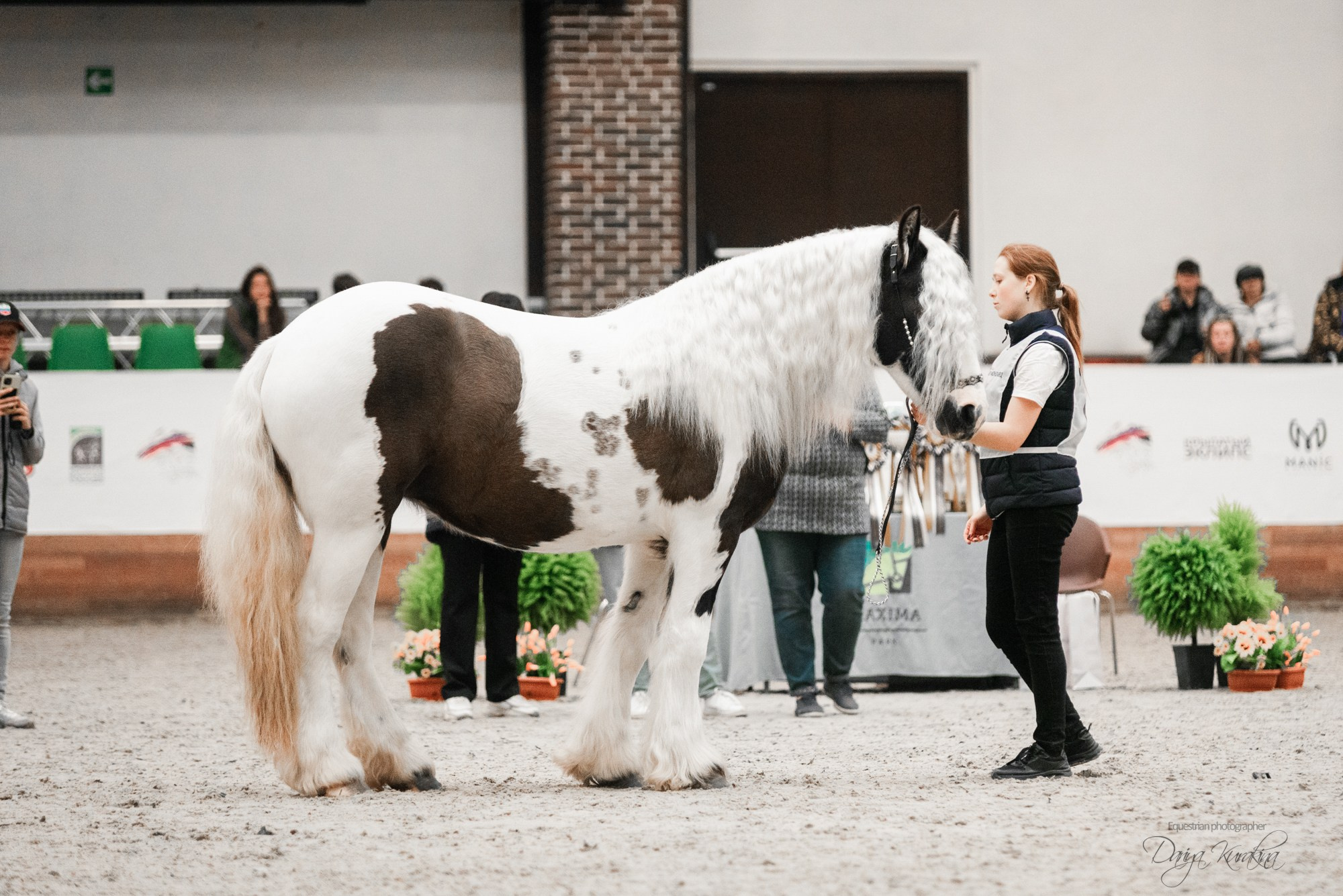 8-я международная выставка Конная Россия. Конный фотограф Куракина Дарья • Фотосессии с лошадьми