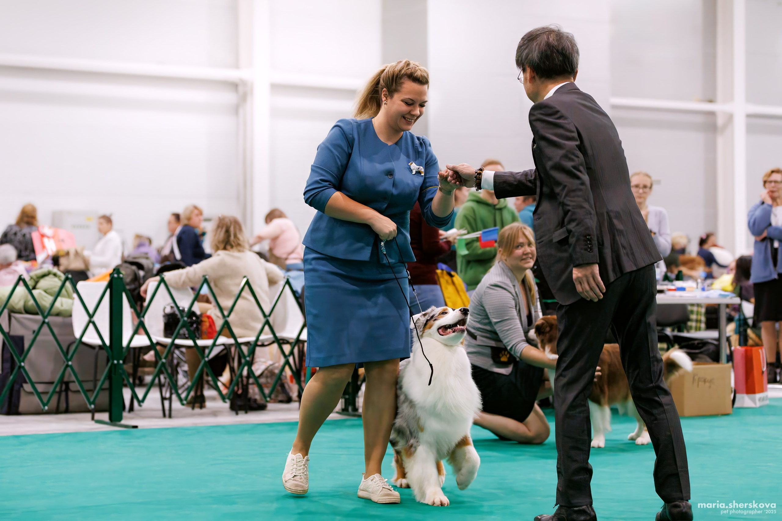 Выставки. Фотограф-анималист в Калуге Мария Шерскова