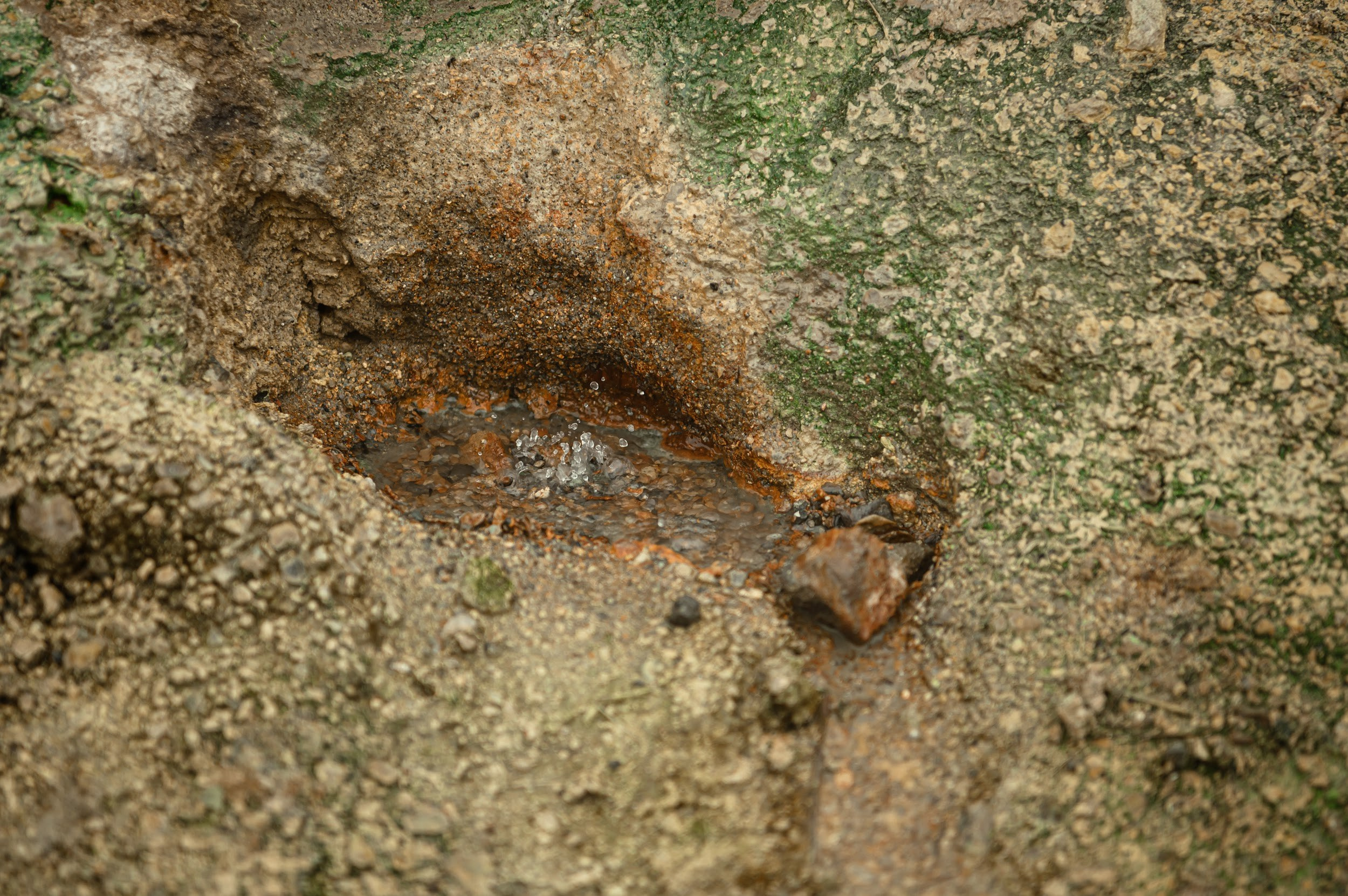 Камчатка 08.2024. Фотограф Марина Росси