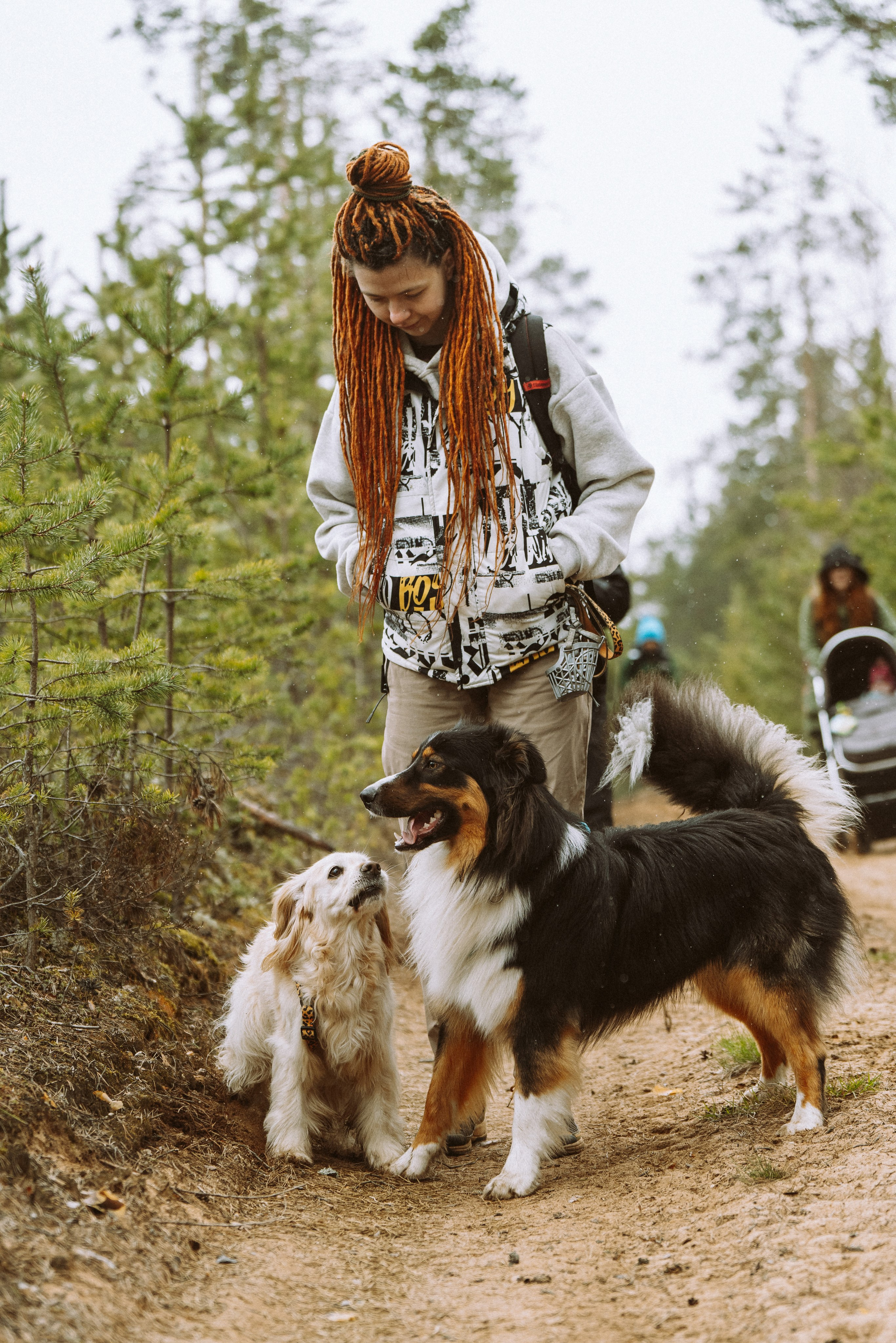 Дог трекинг к финскому хутору. Фотограф анималист в Спб недорого Олеся Майорова