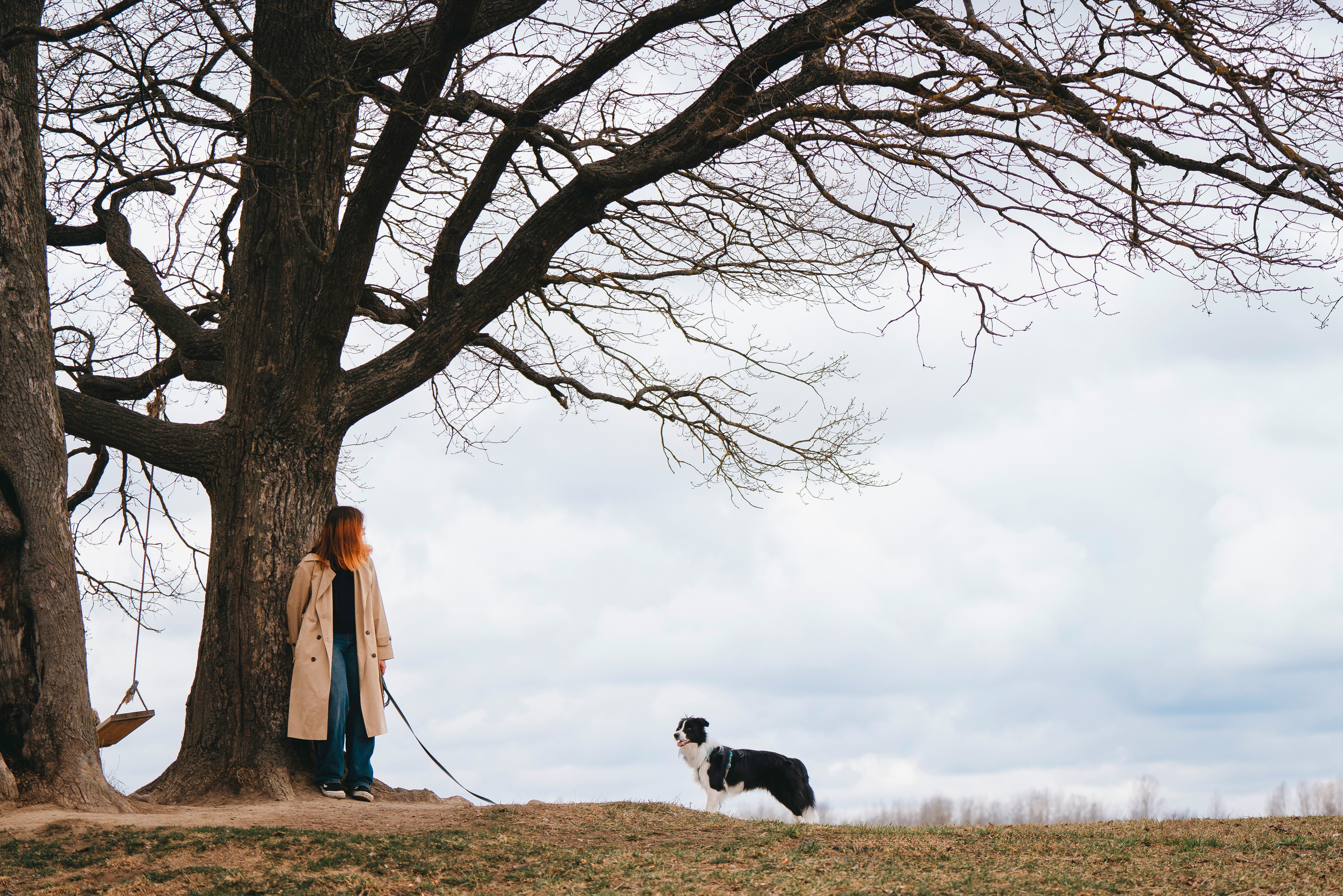 Нил и Алёна. Фотограф анималист в Спб недорого Олеся Майорова