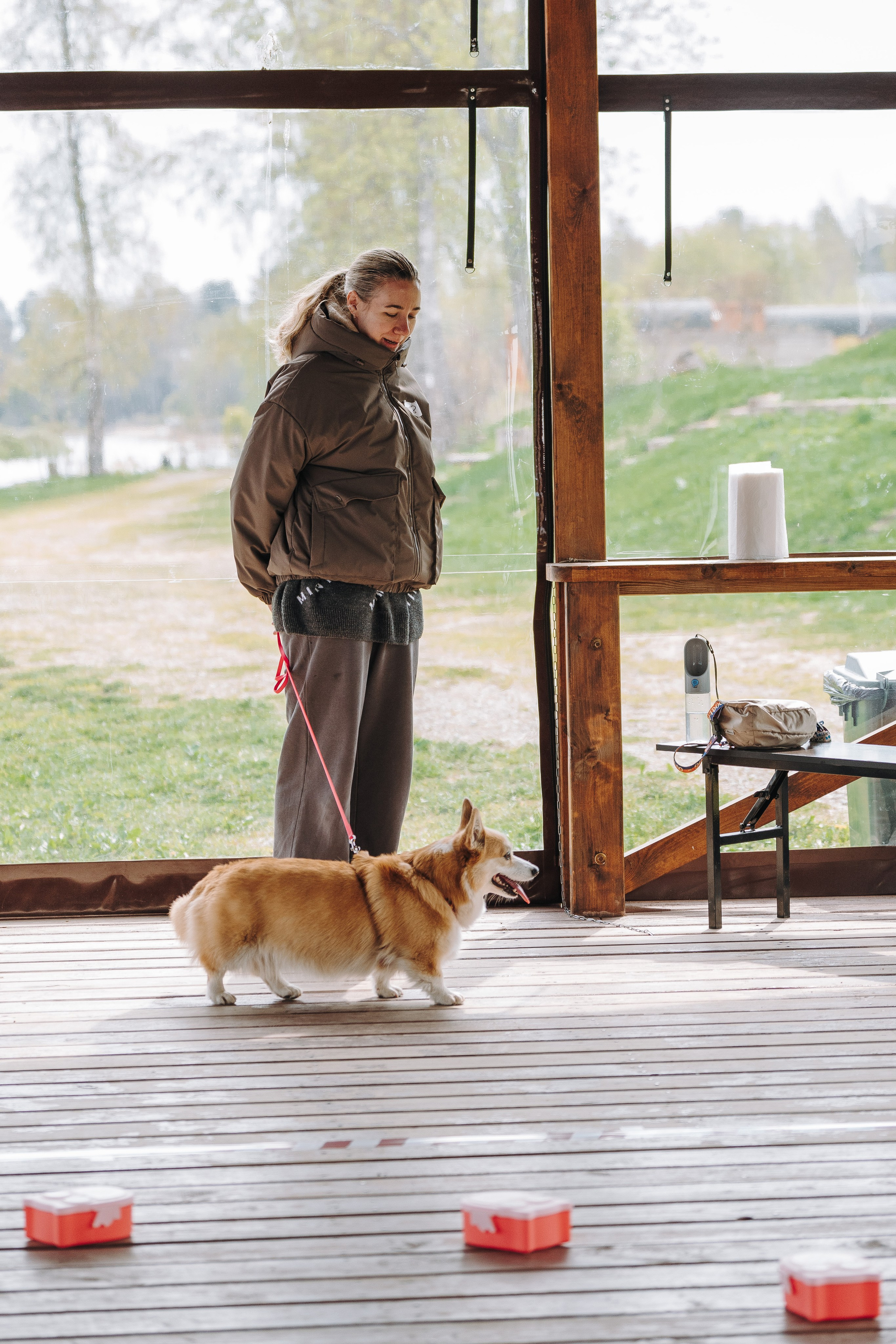 Соревнования по ноузворку в Лосево. Фотограф анималист в Спб недорого Олеся Майорова