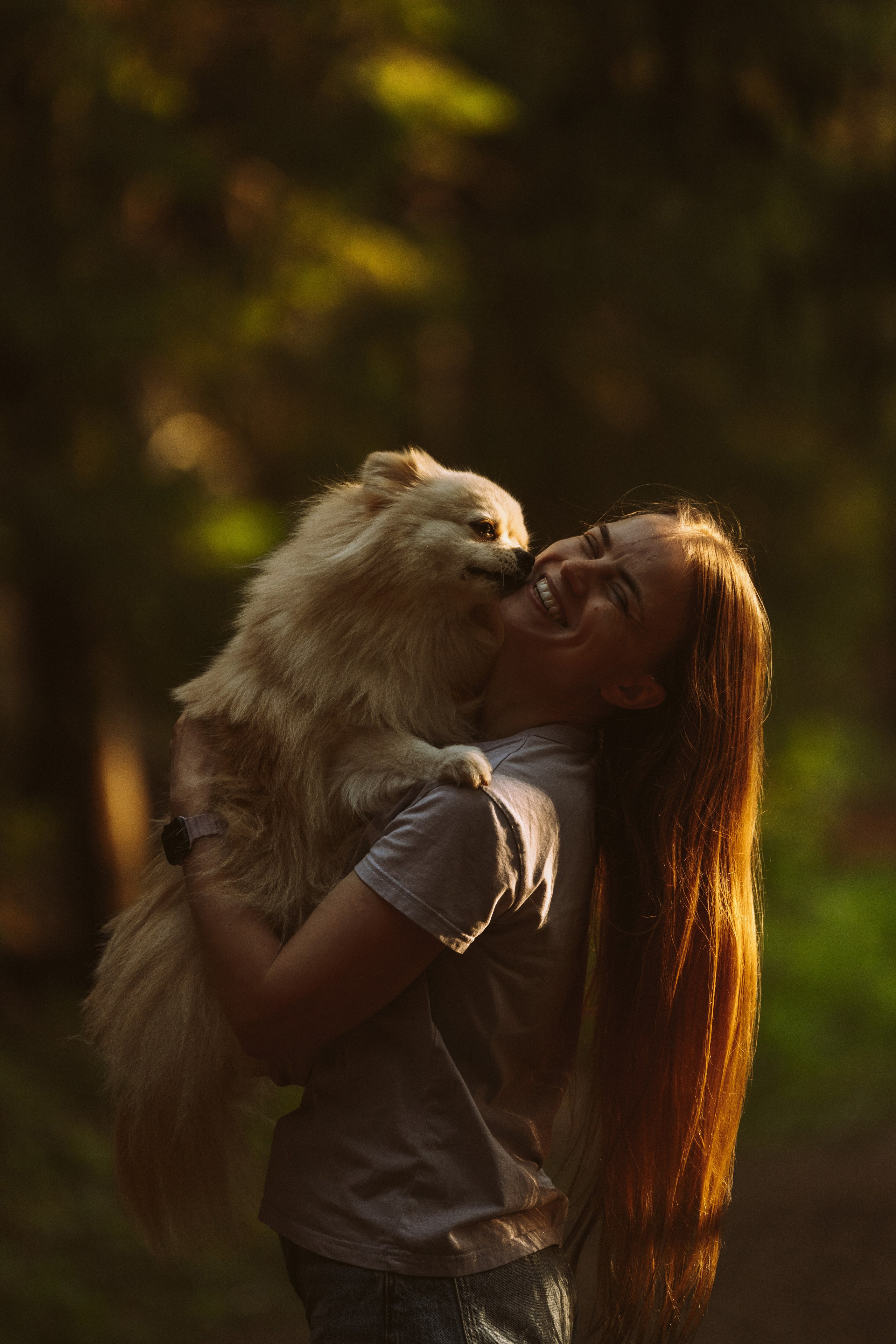 Фотосессия с собачкой в лесу. Фотограф анималист в Спб недорого Олеся Майорова
