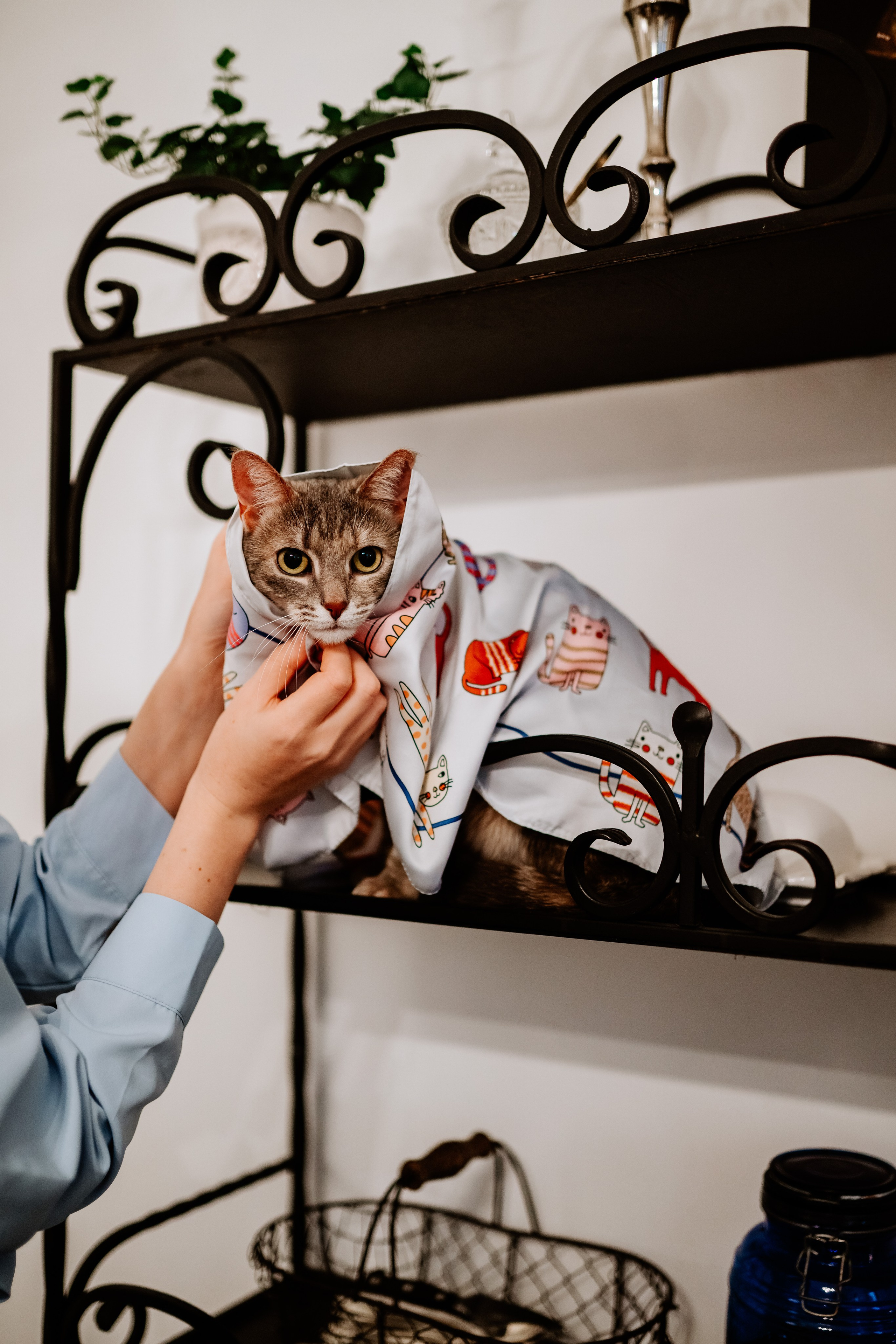 Натали и Иззи. Фотограф анималист в Спб недорого Олеся Майорова