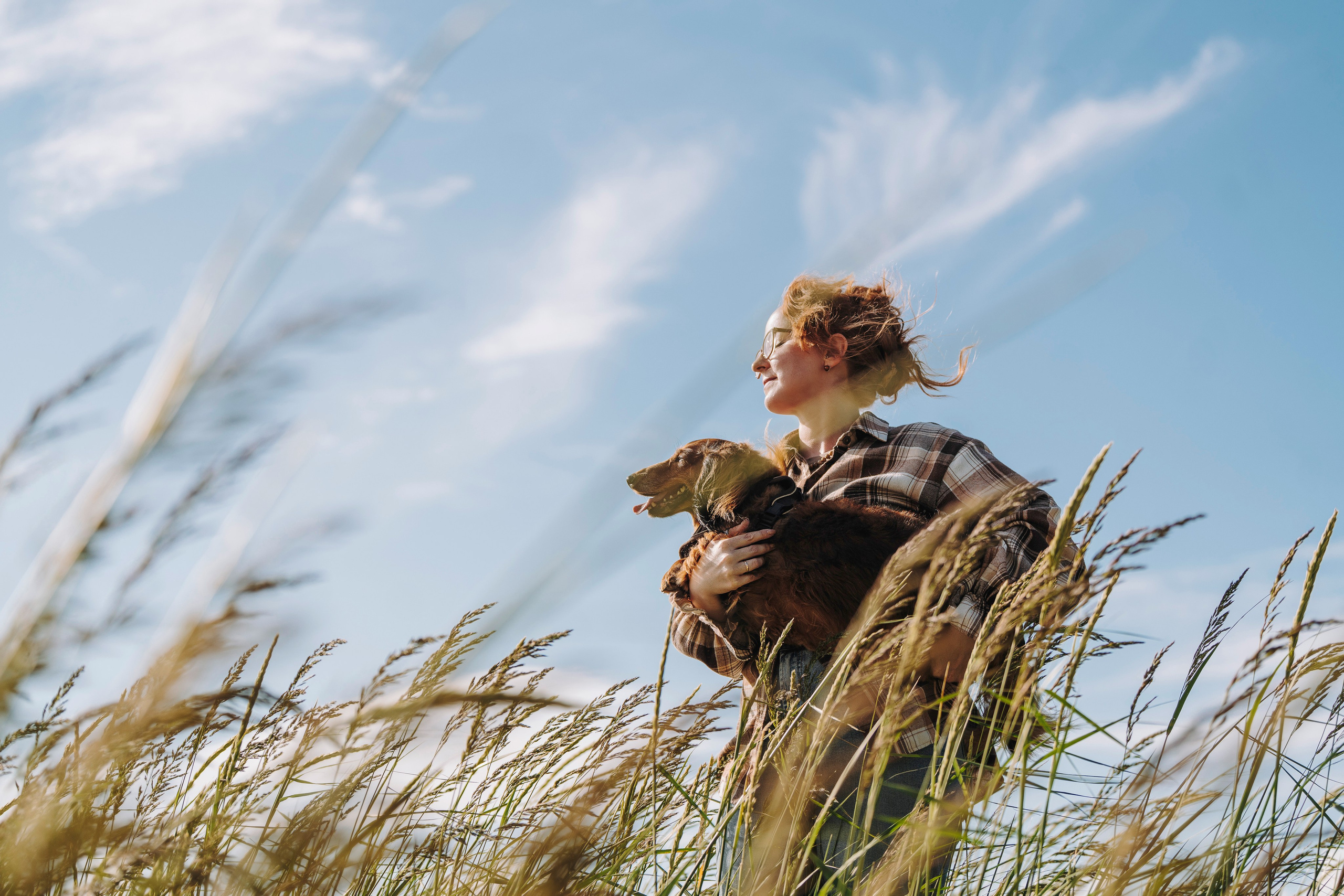 Фотосессия с длиношерстной таксой на пляжн. Фотограф анималист в Спб недорого Олеся Майорова