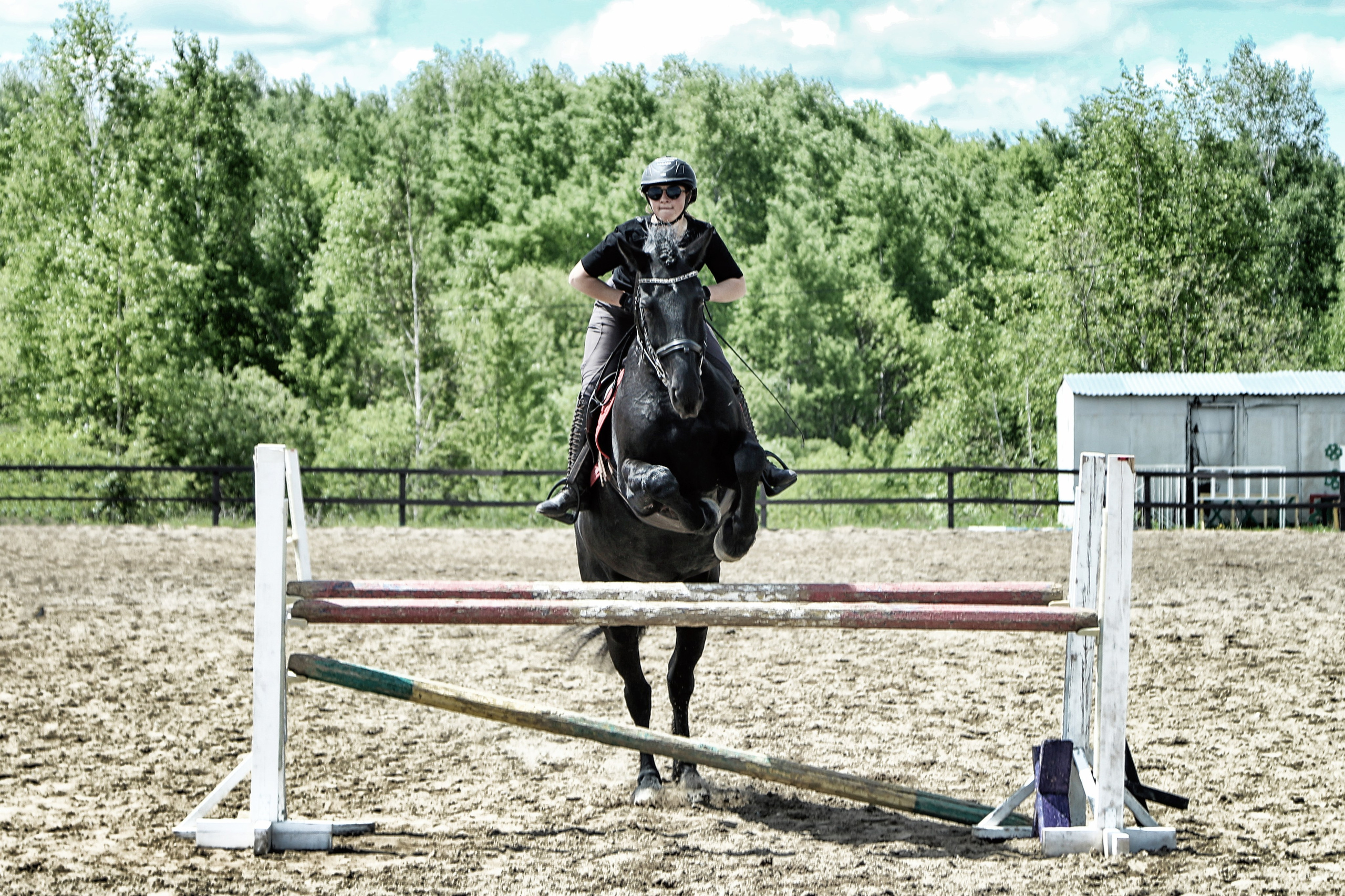 Лошади «Каскад» и «Брилиант». Алиса Томшина — Фотограф / Видеограф