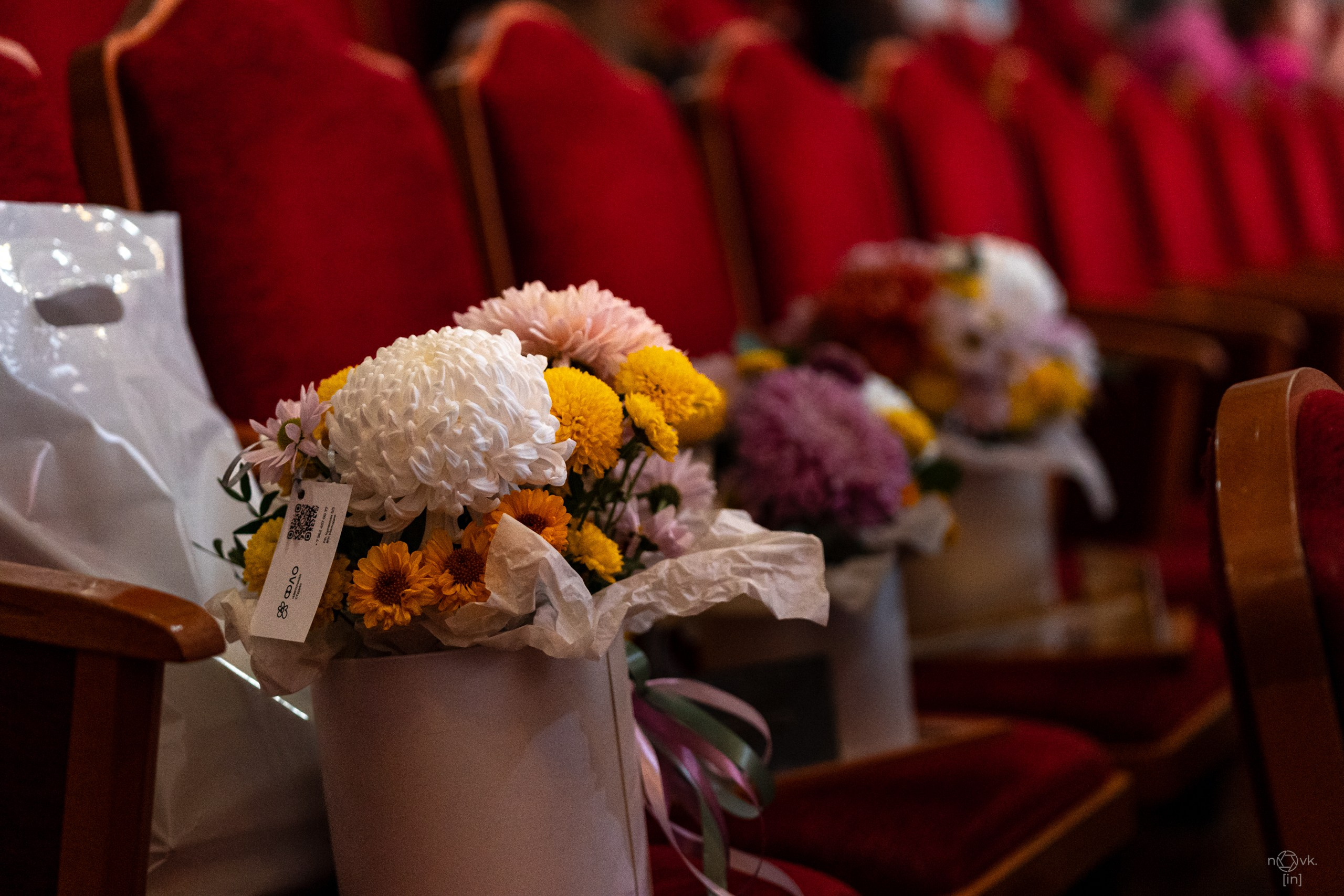 Ёлка. ФОТОГРАФ ИВАН НОВИКОВ | СТАВРОПОЛЬ