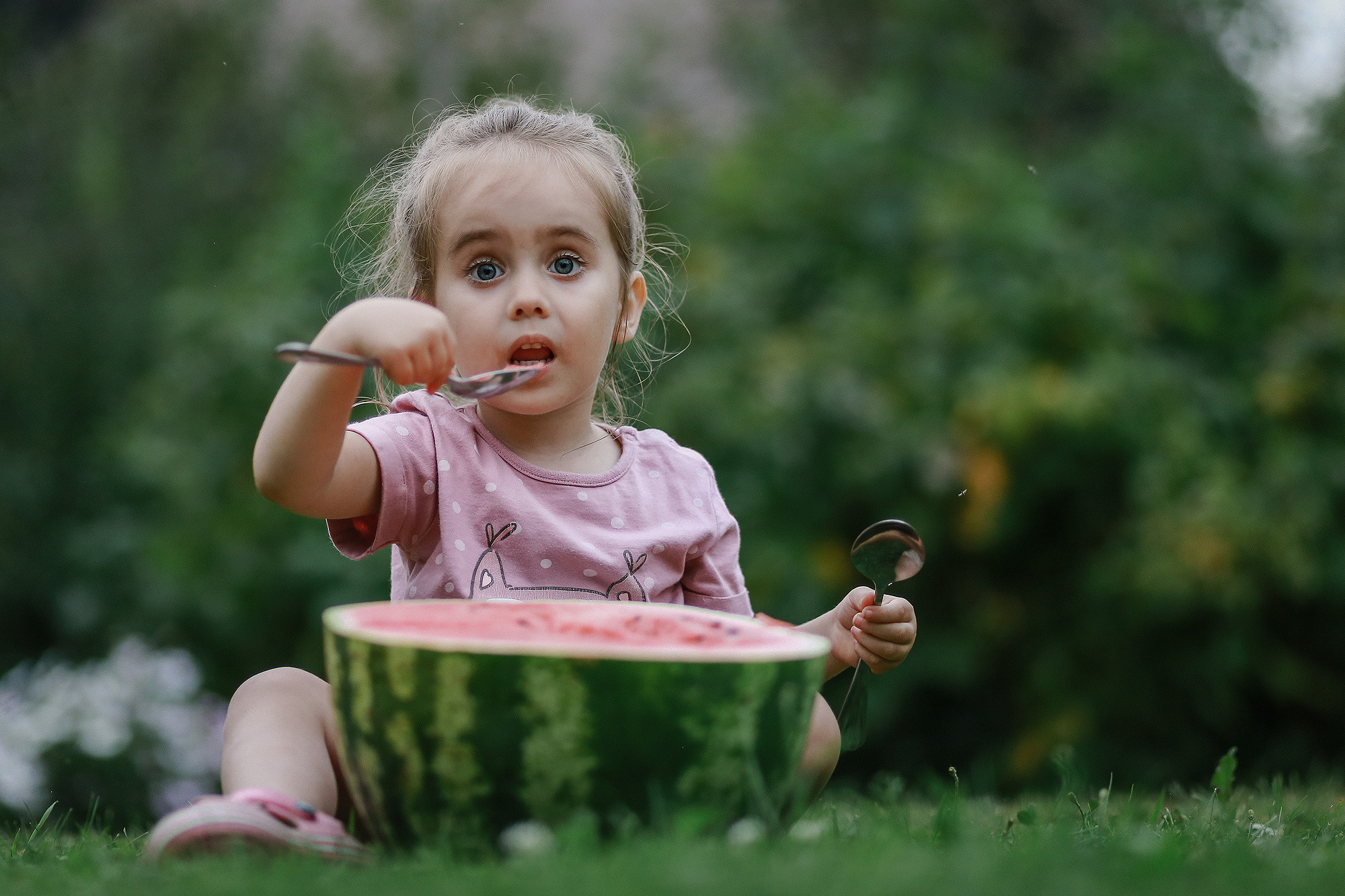 Сёма, Кот и Пёс. Антонина Морозова, профессиональный семейный фотограф видеограф