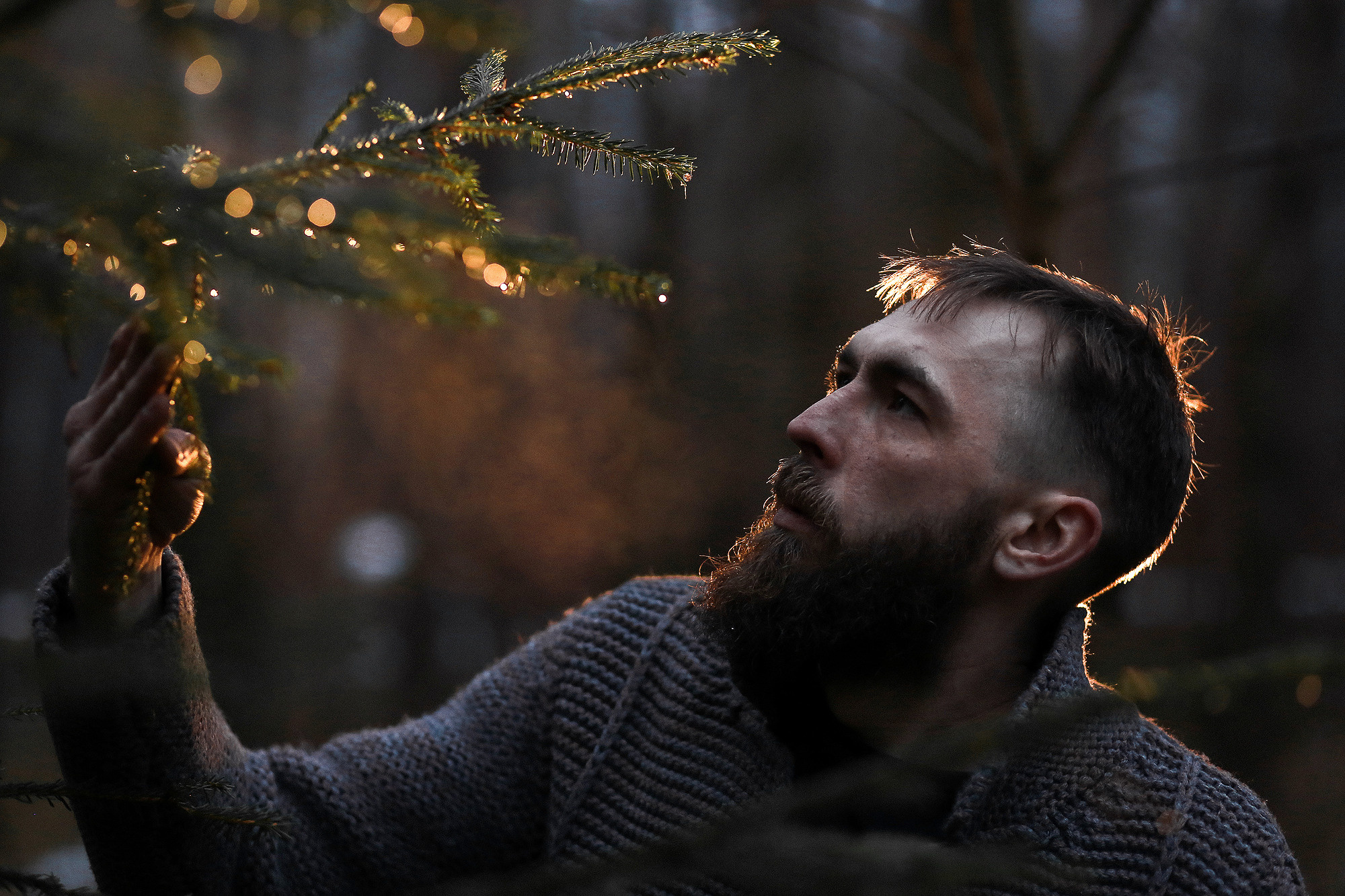 Необычная мебель Velt Wood. Антонина Морозова, профессиональный семейный фотограф видеограф