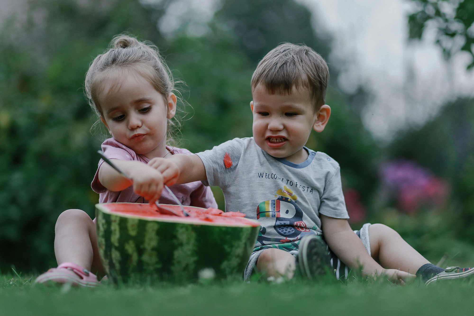 Сёма, Кот и Пёс. Антонина Морозова, профессиональный семейный фотограф видеограф