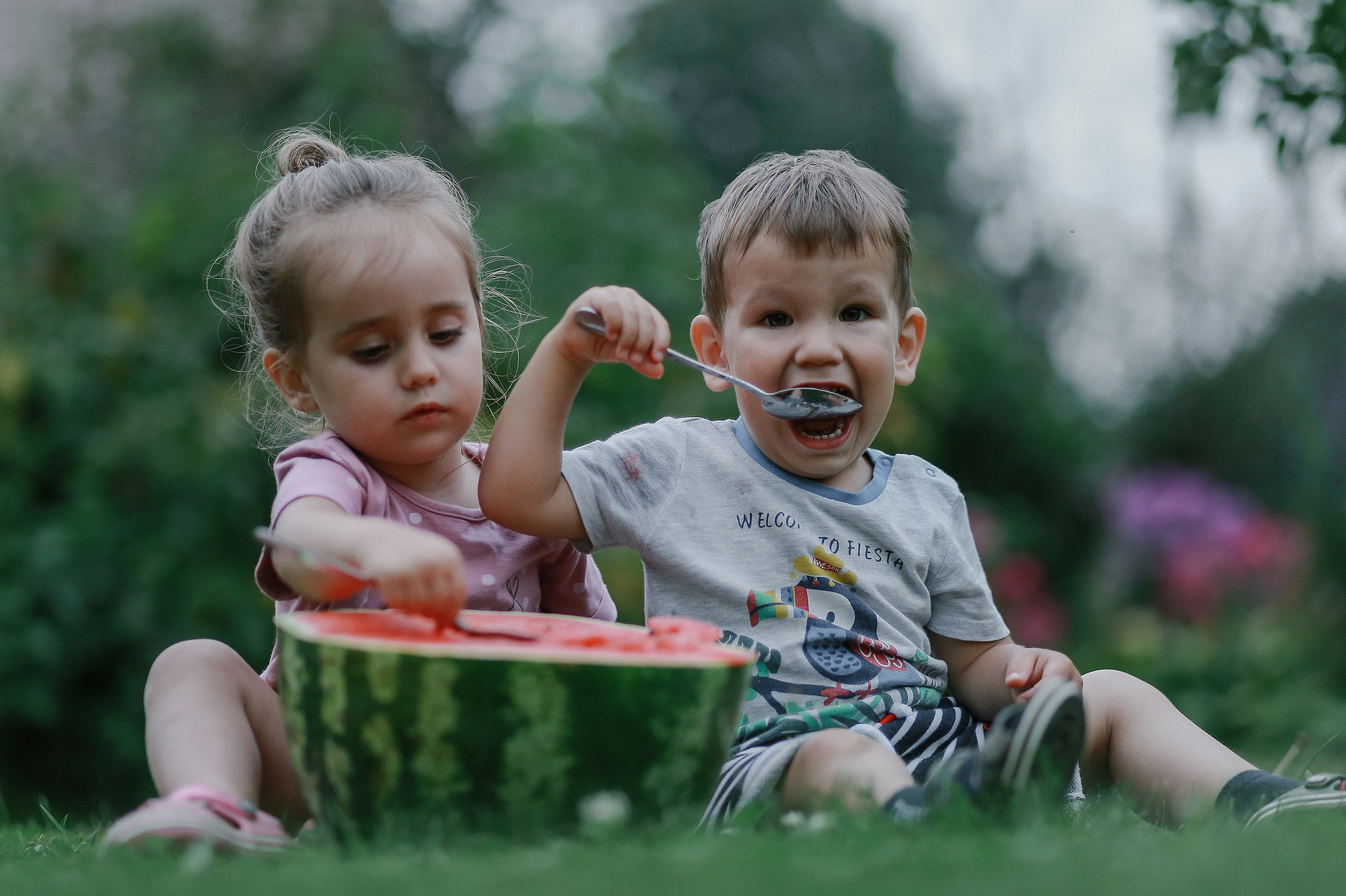 Сёма, Кот и Пёс. Антонина Морозова, профессиональный семейный фотограф видеограф
