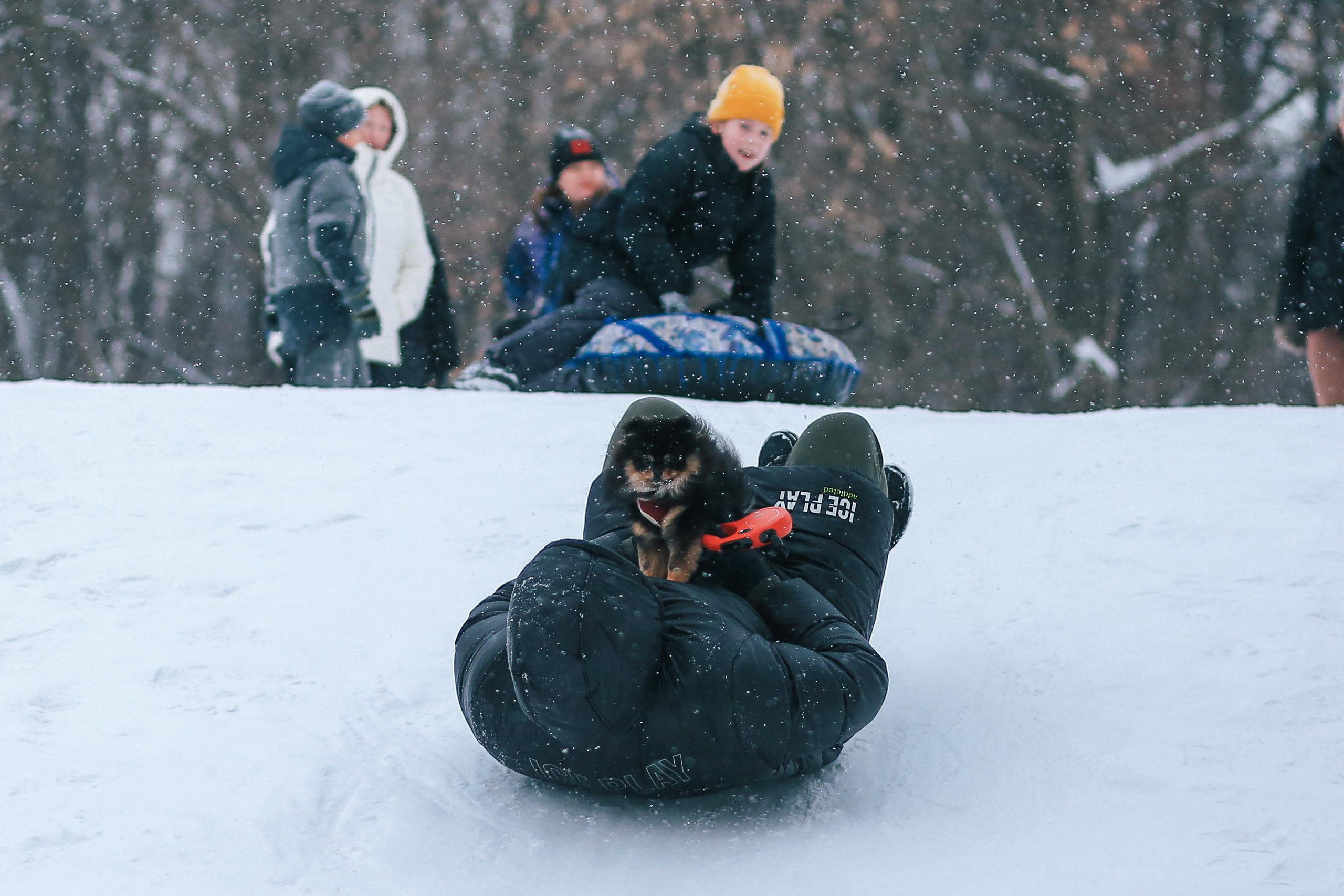 Марфа и Маруся в парке Лосиный остров. Антонина Морозова, профессиональный семейный фотограф видеограф