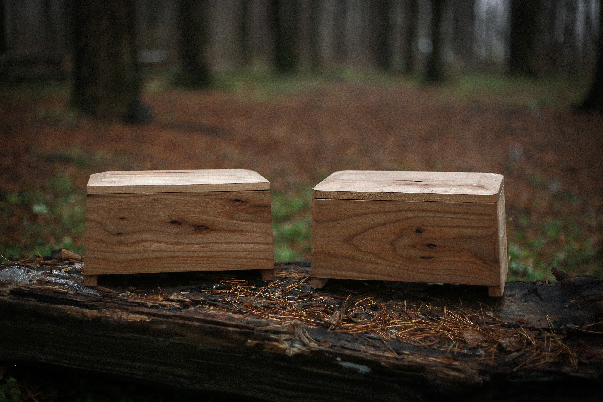 Необычная мебель Velt Wood. Антонина Морозова, профессиональный семейный фотограф видеограф