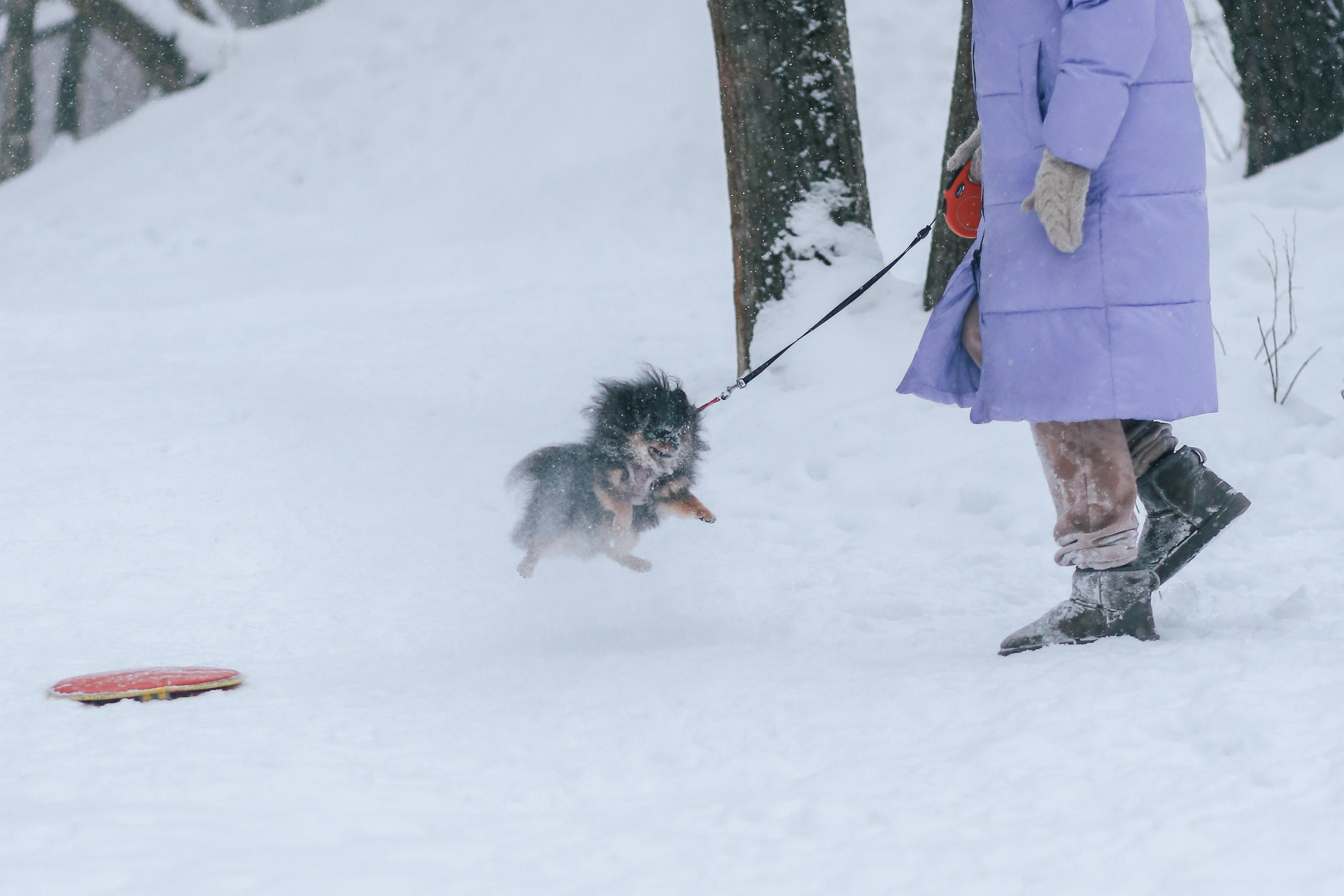 Марфа и Маруся в парке Лосиный остров. Антонина Морозова, профессиональный семейный фотограф видеограф