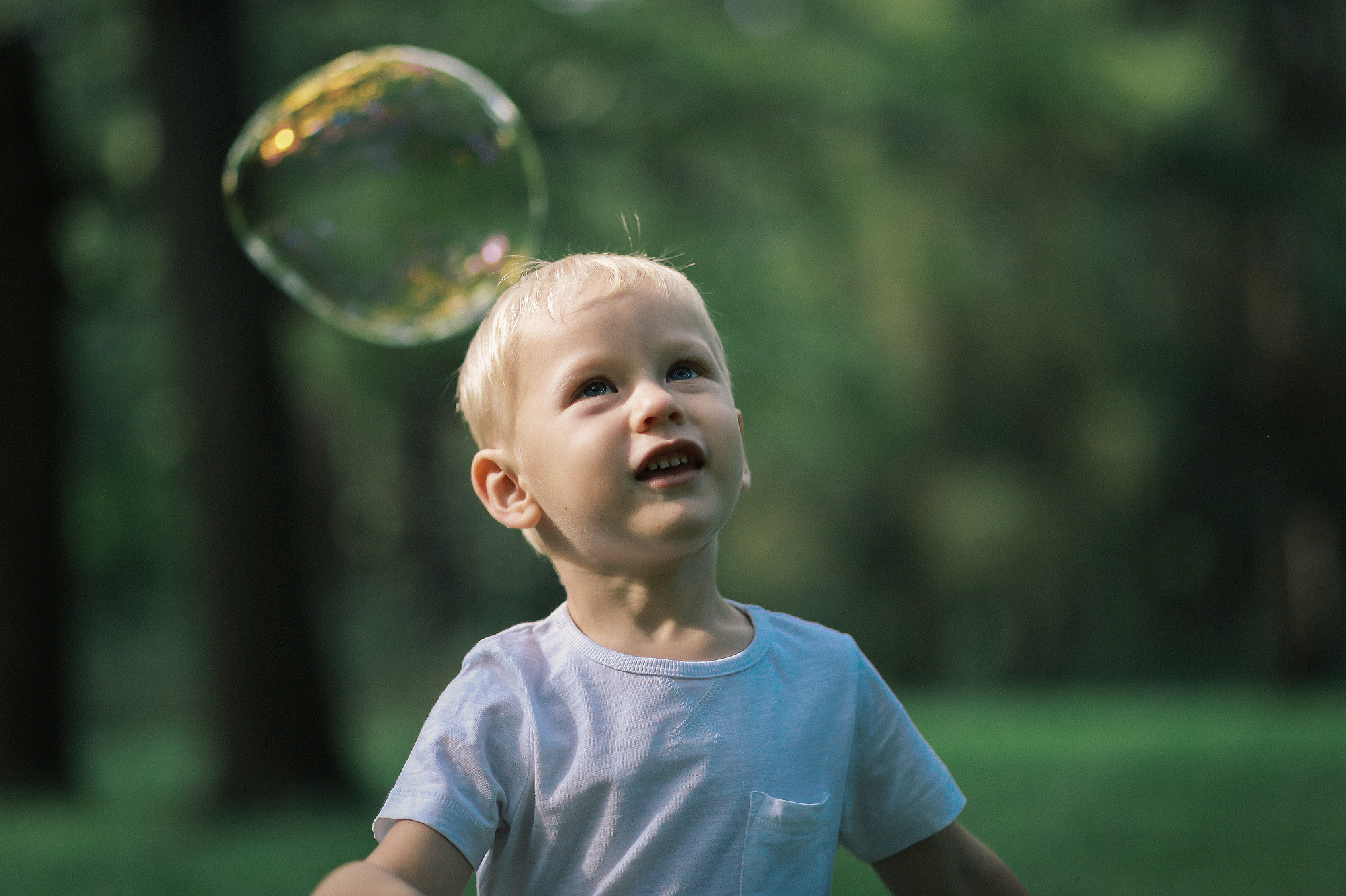 Женя и Костя в Ботаническом саду. Антонина Морозова, профессиональный семейный фотограф видеограф