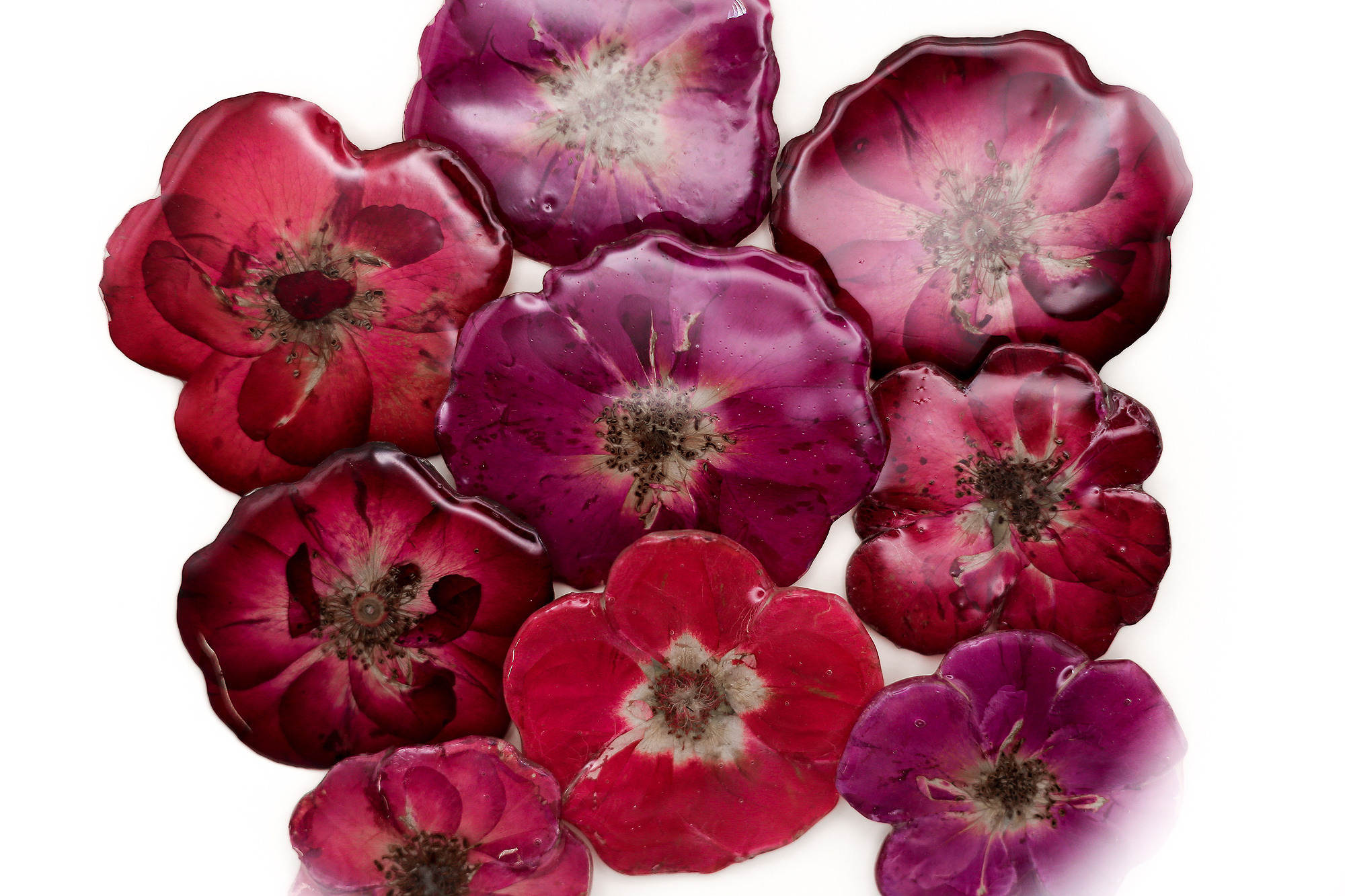 Украшения для SolodStudio. Антонина Морозова, профессиональный семейный фотограф видеограф