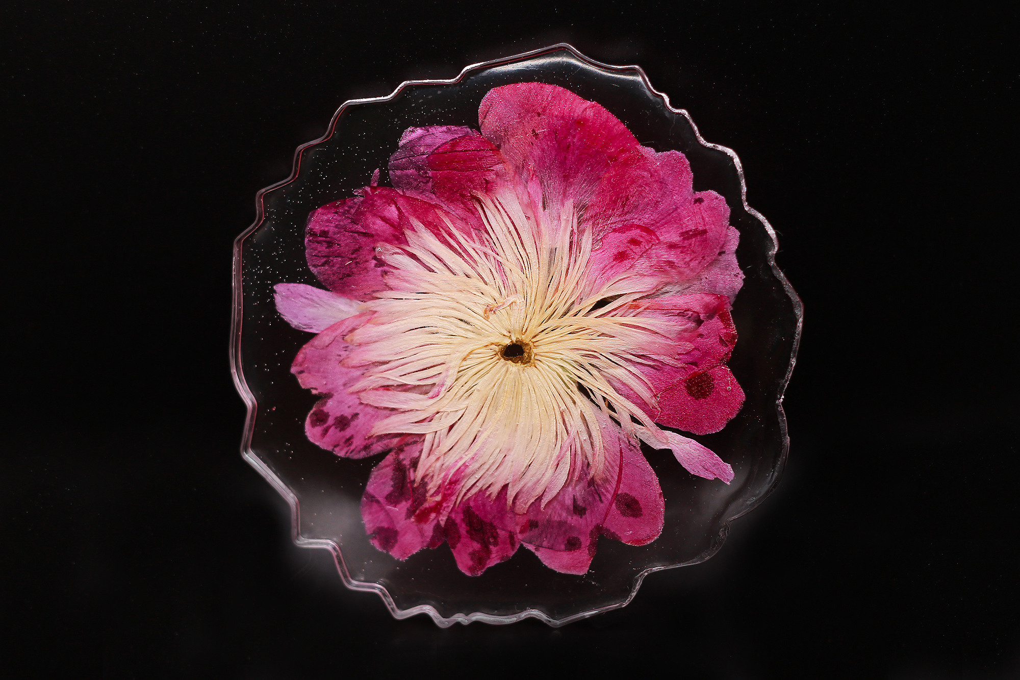 Украшения для SolodStudio. Антонина Морозова, профессиональный семейный фотограф видеограф