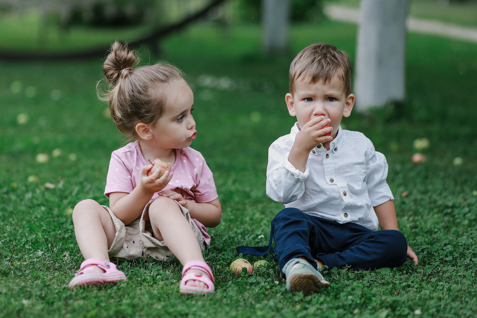 Сёма, Кот и Пёс. Антонина Морозова, профессиональный семейный фотограф видеограф