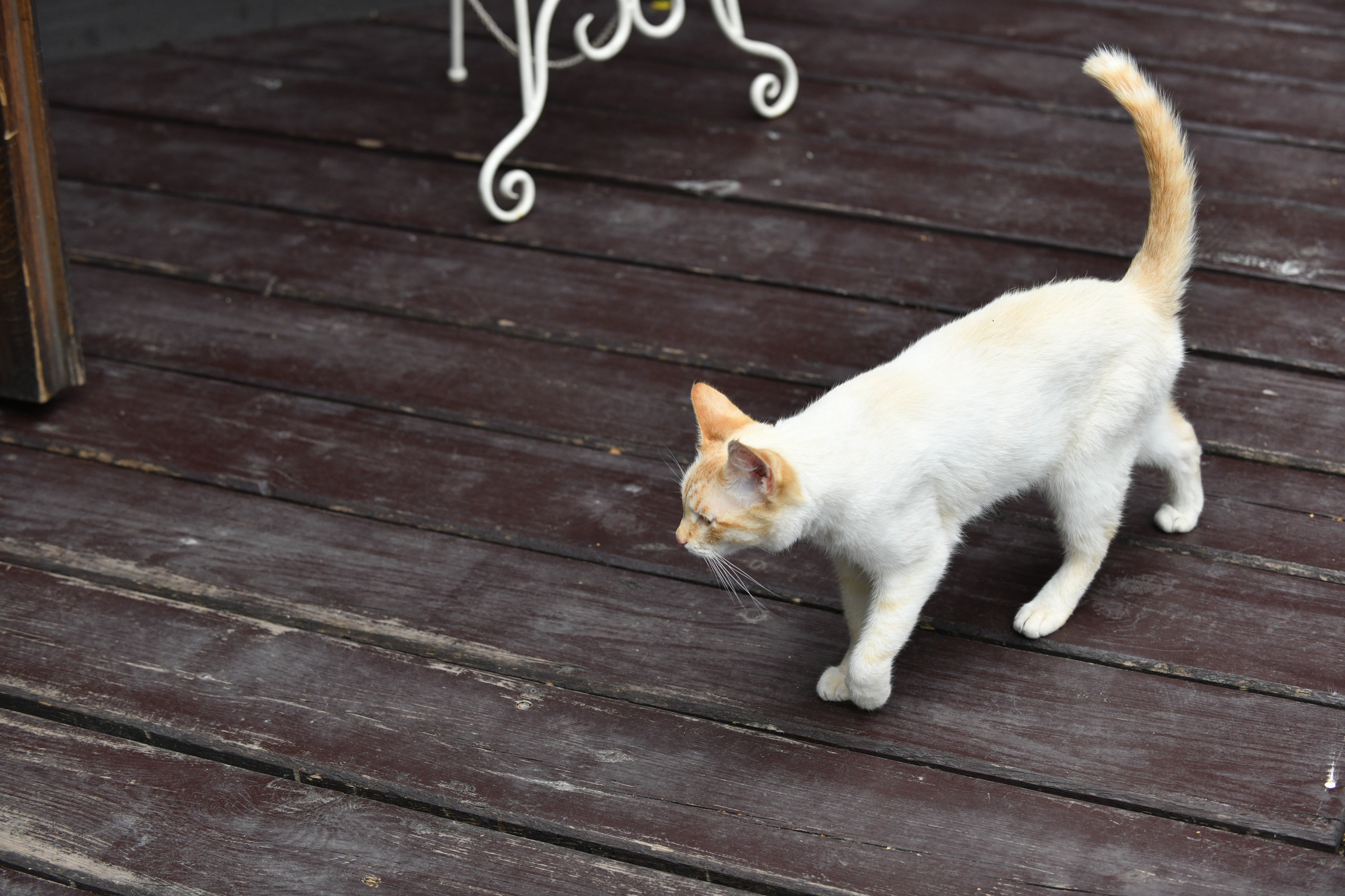 Свадебный день Карины и Ильи. Свадебный и портретный фотограф в Москве Галина Борисова