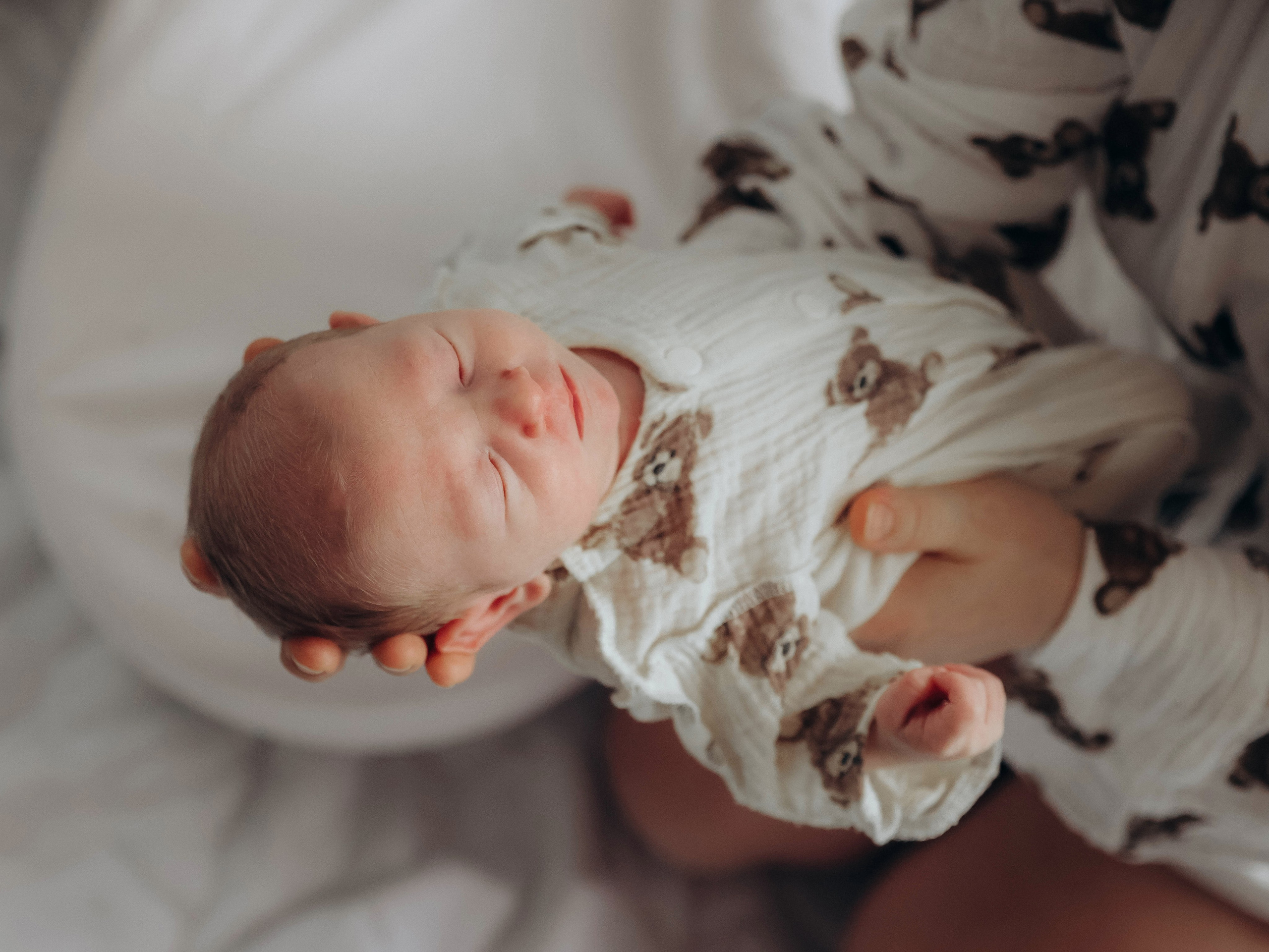 Любовь и котики. Мультифотограф Динара Ахмедзянова