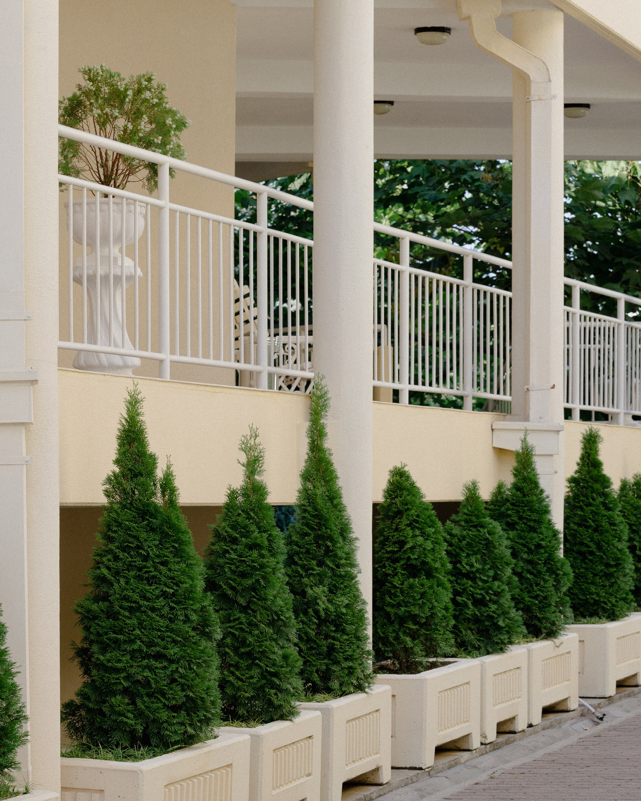 Reminiscence. Фотограф в Сочи Адлер Ковалёв Евгений